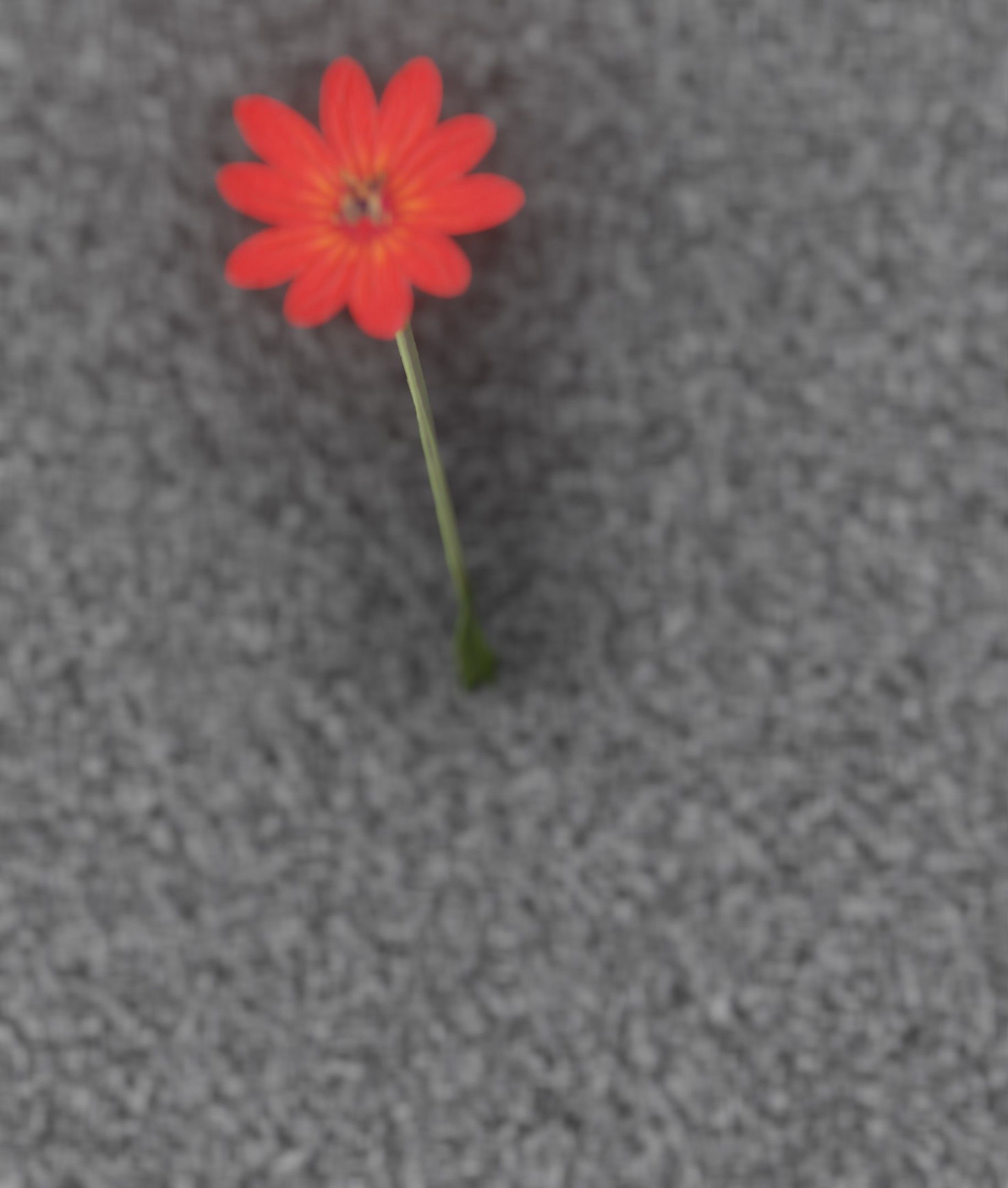Red Flower - Verion 2 - Object 31 Low-poly 3D model_41