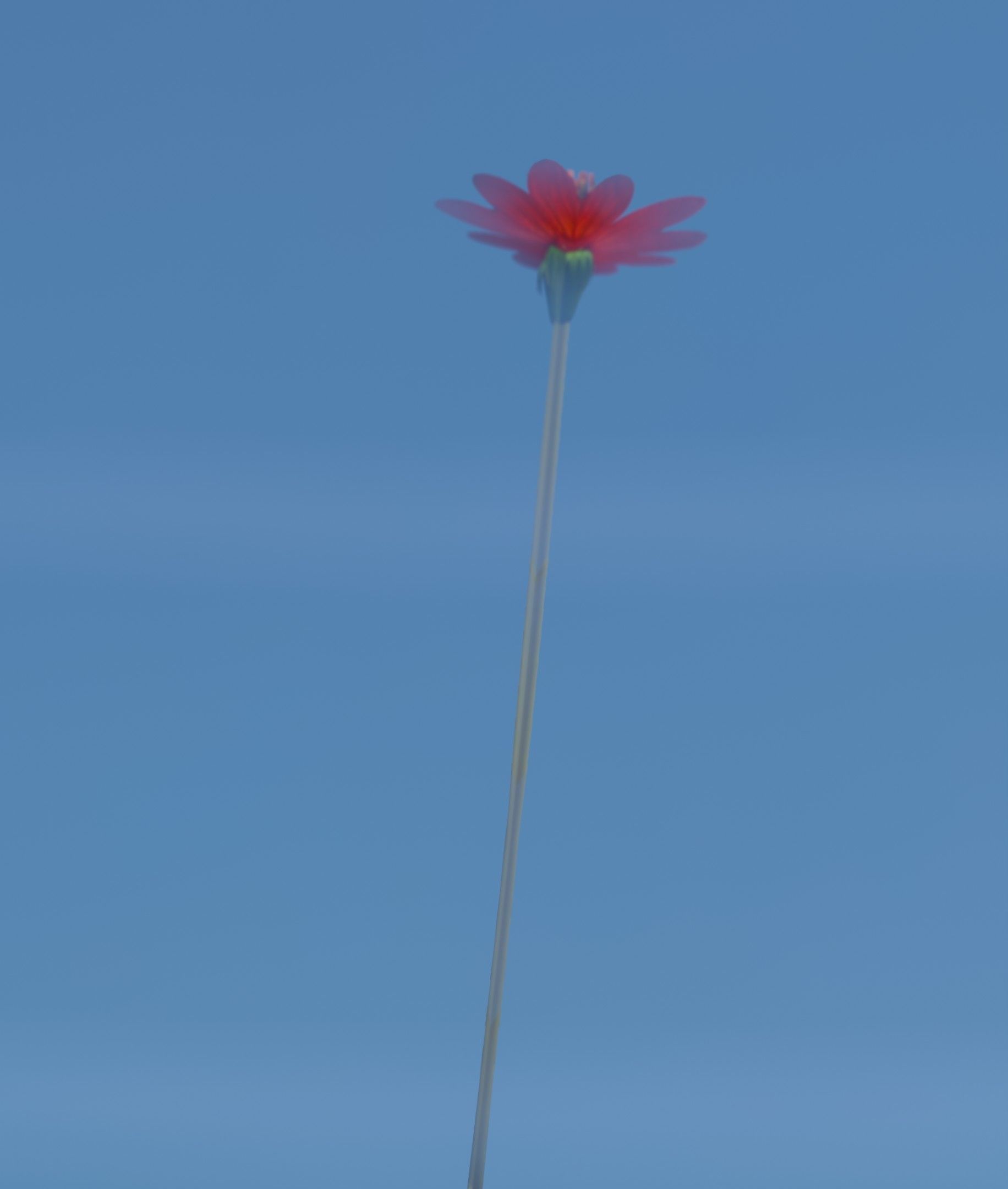 Red Flower - Verion 2 - Object 31 Low-poly 3D model_5