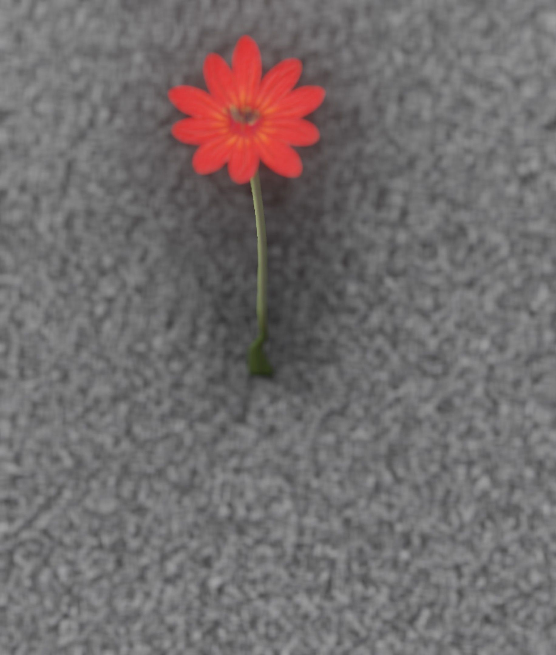 Red Flower - Verion 2 - Object 31 Low-poly 3D model_44