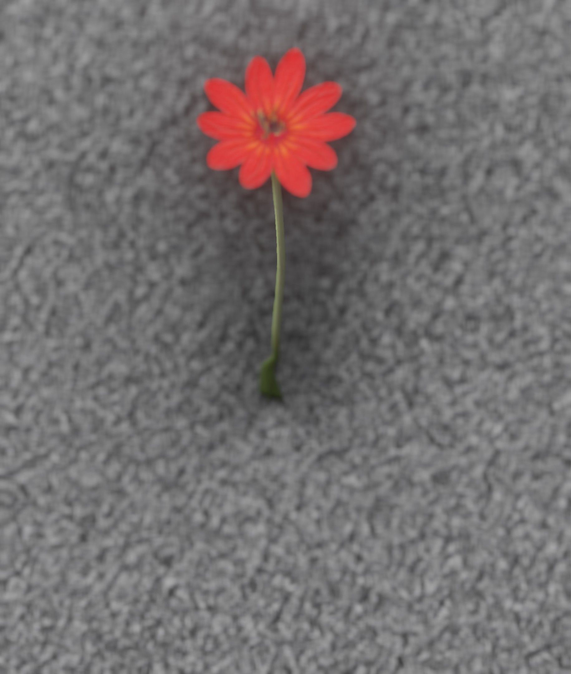 Red Flower - Verion 2 - Object 31 Low-poly 3D model_45