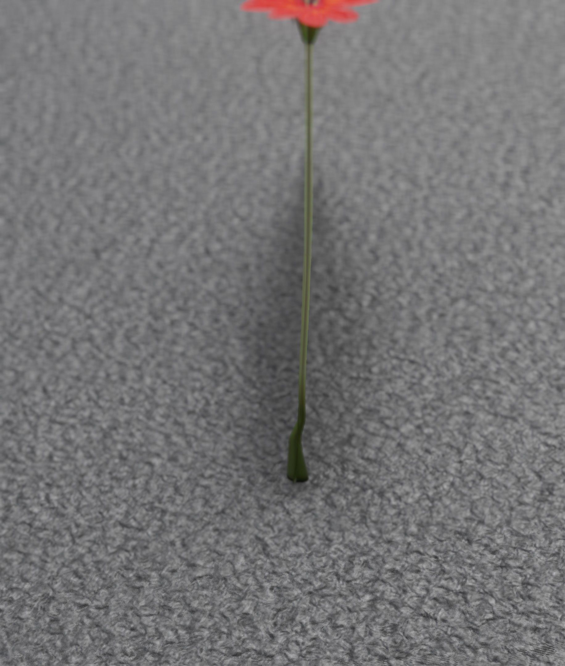 Red Flower - Verion 2 - Object 31 Low-poly 3D model_50