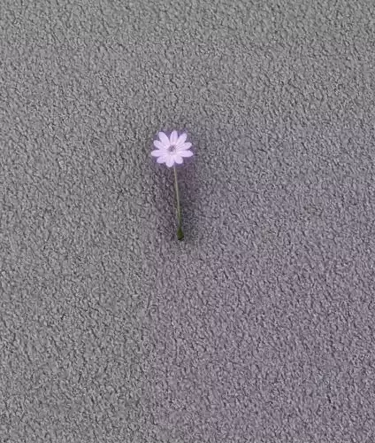 Violet Flower - Verion 6 - Object 33