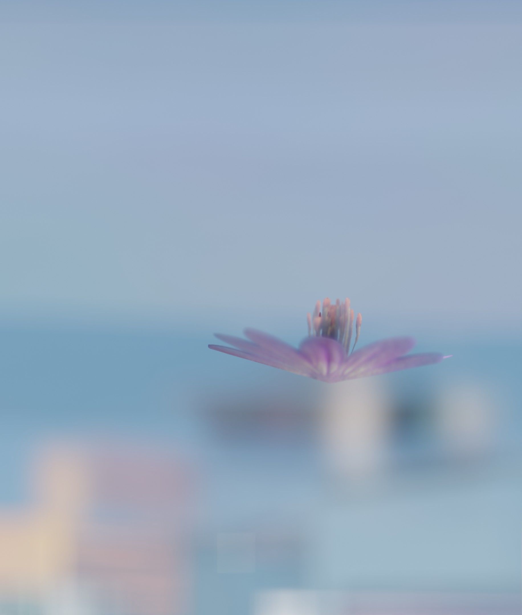 Violet Flower Blossom Version 7 - Object 34 Low-poly 3D model_31