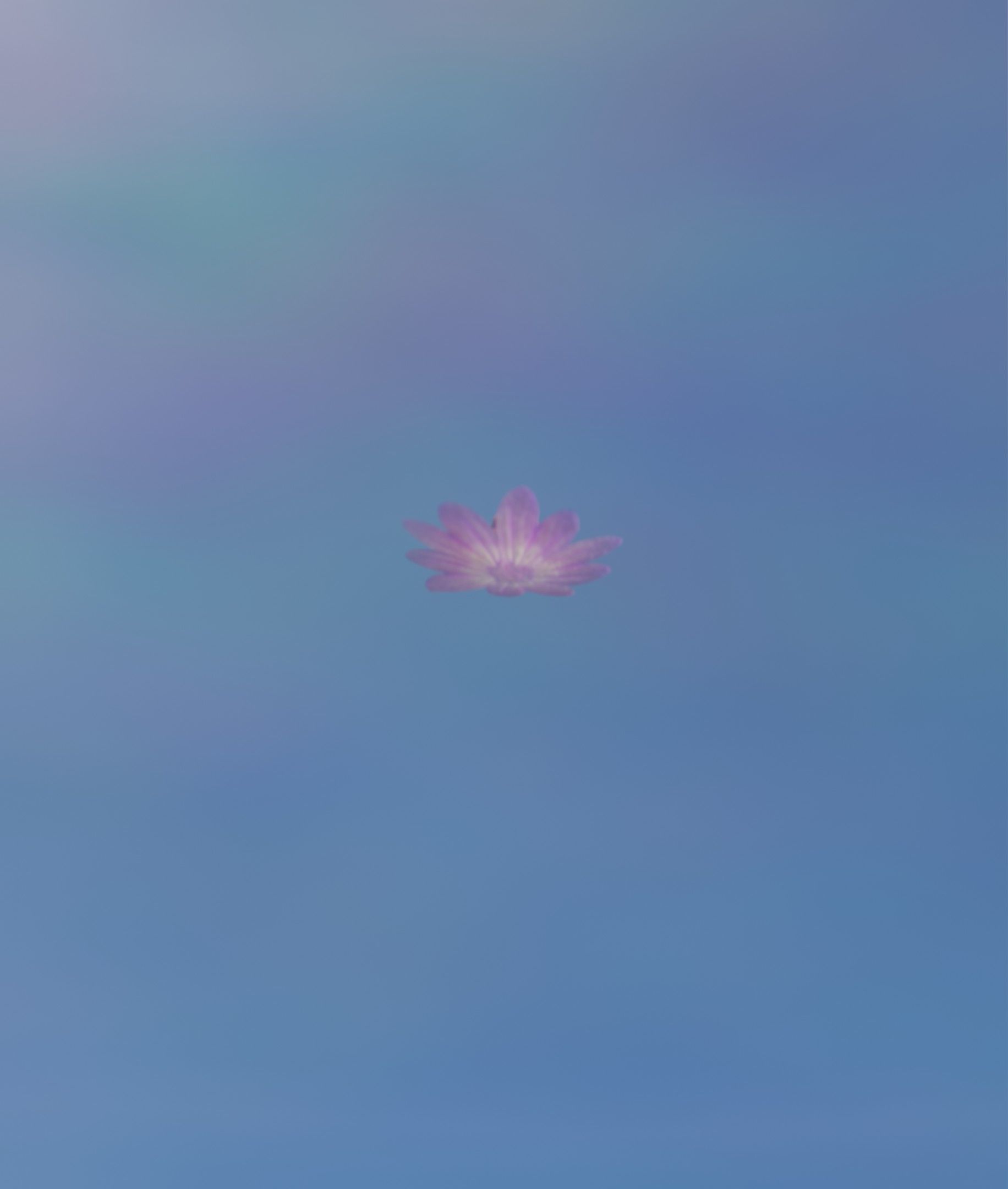 Violet Flower Blossom Version 7 - Object 34 Low-poly 3D model_6