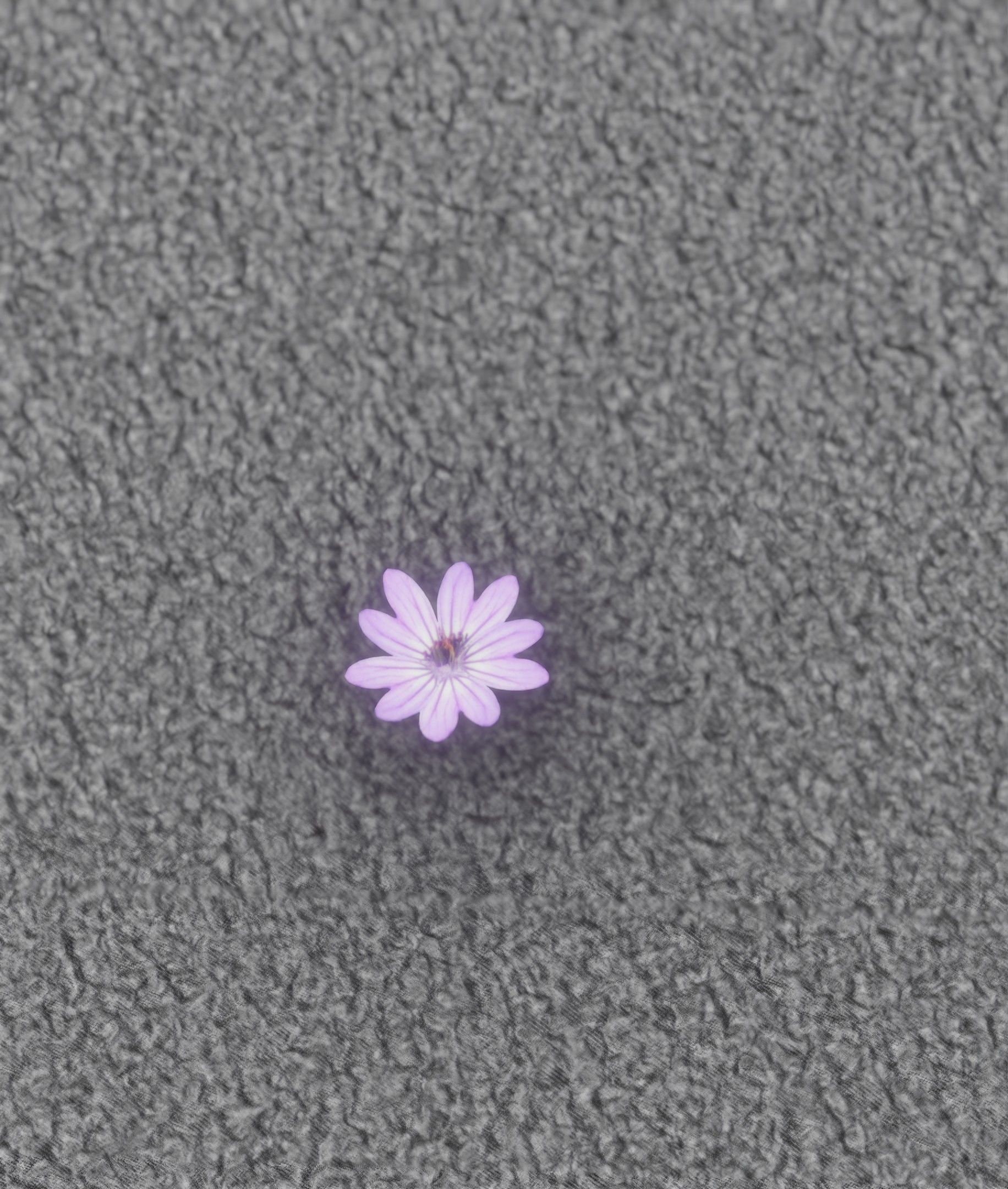Violet Flower Blossom Version 7 - Object 34 Low-poly 3D model_2