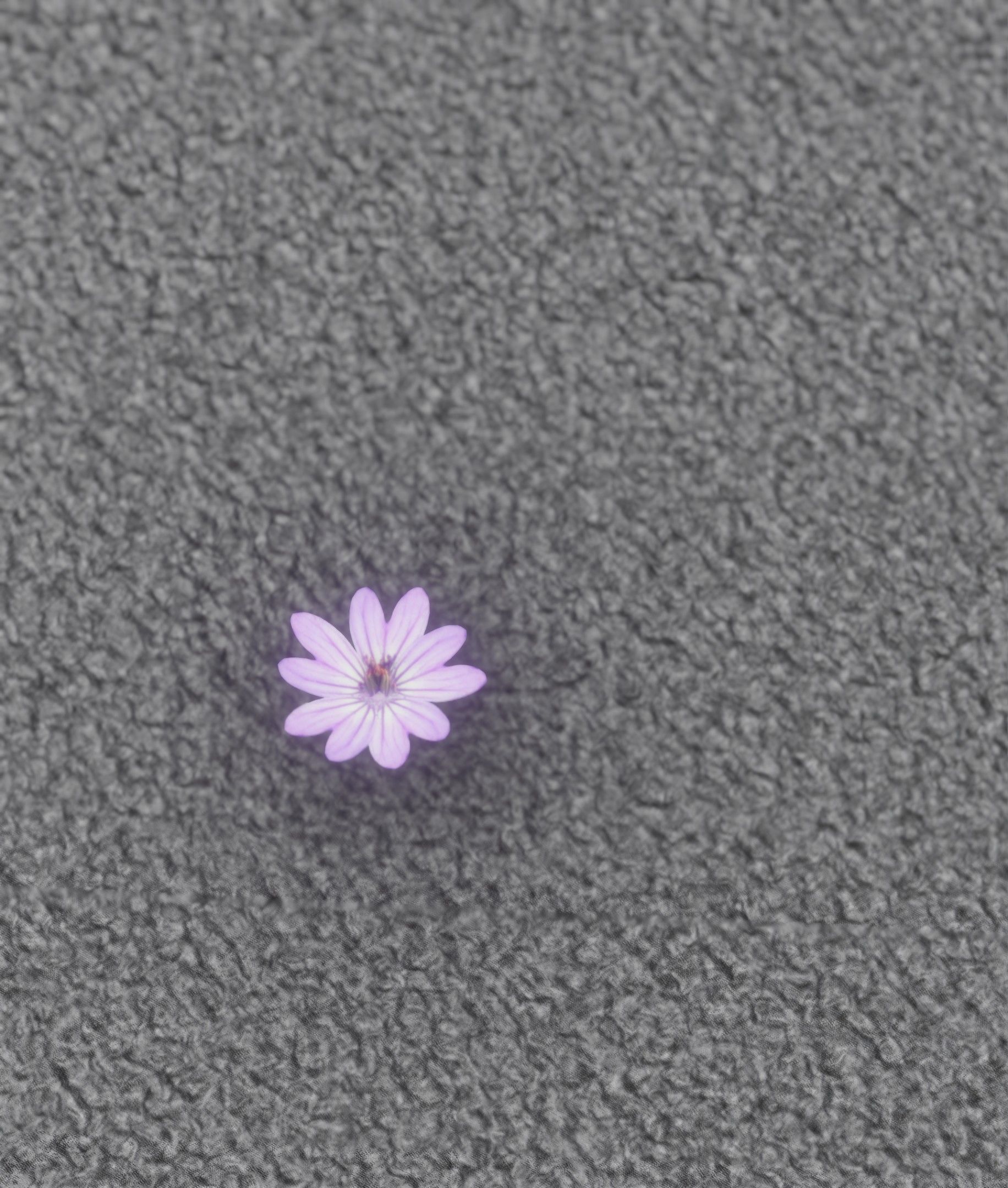 Violet Flower Blossom Version 7 - Object 34 Low-poly 3D model_39