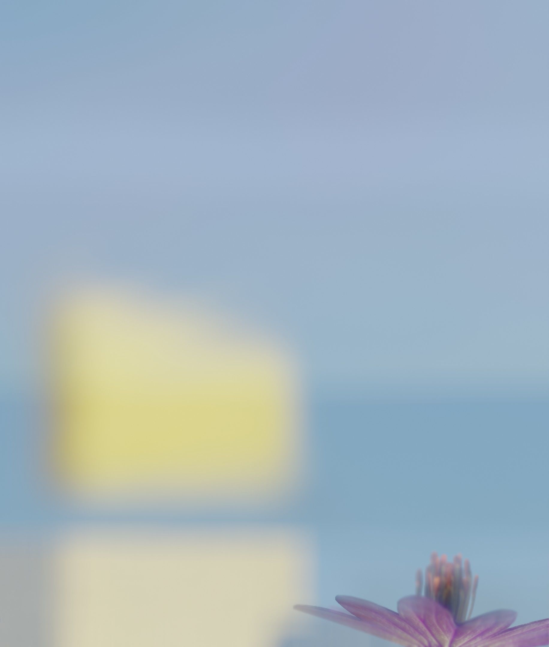 Violet Flower Blossom Version 7 - Object 34 Low-poly 3D model_48