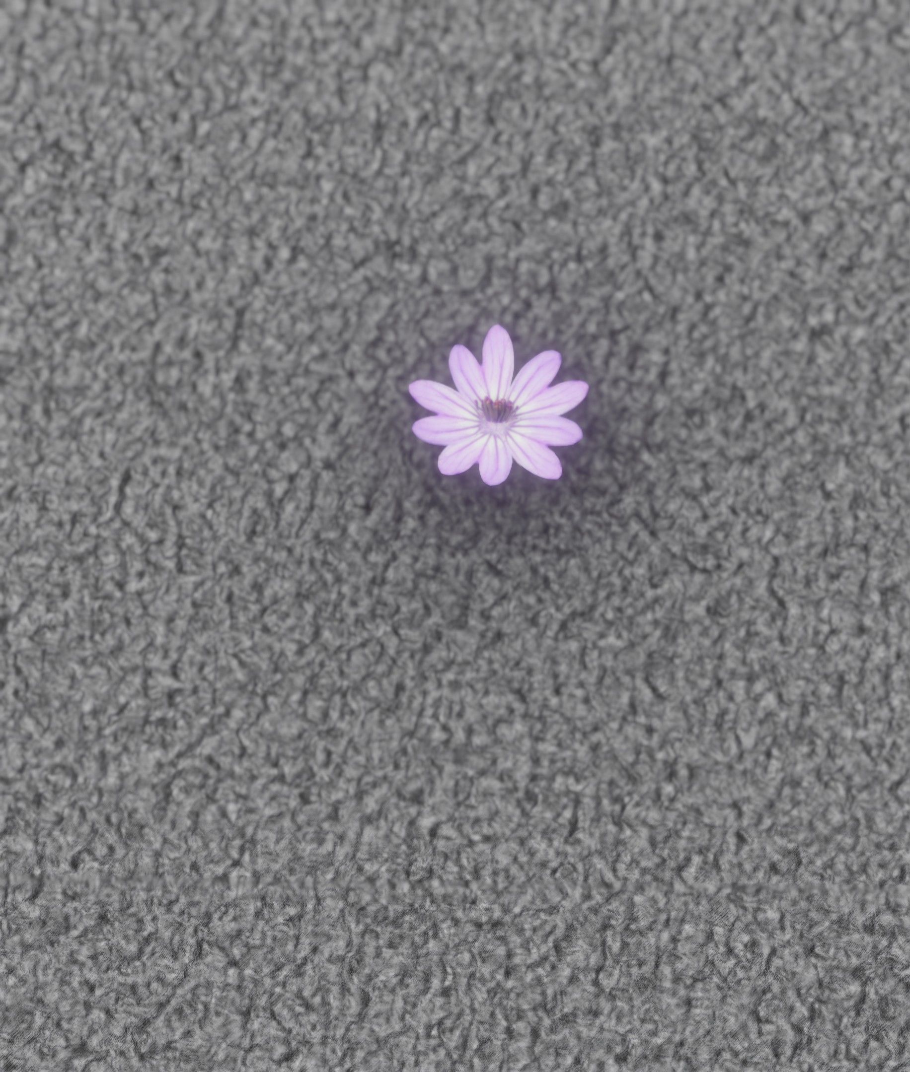 Violet Flower Blossom Version 7 - Object 34 Low-poly 3D model_41