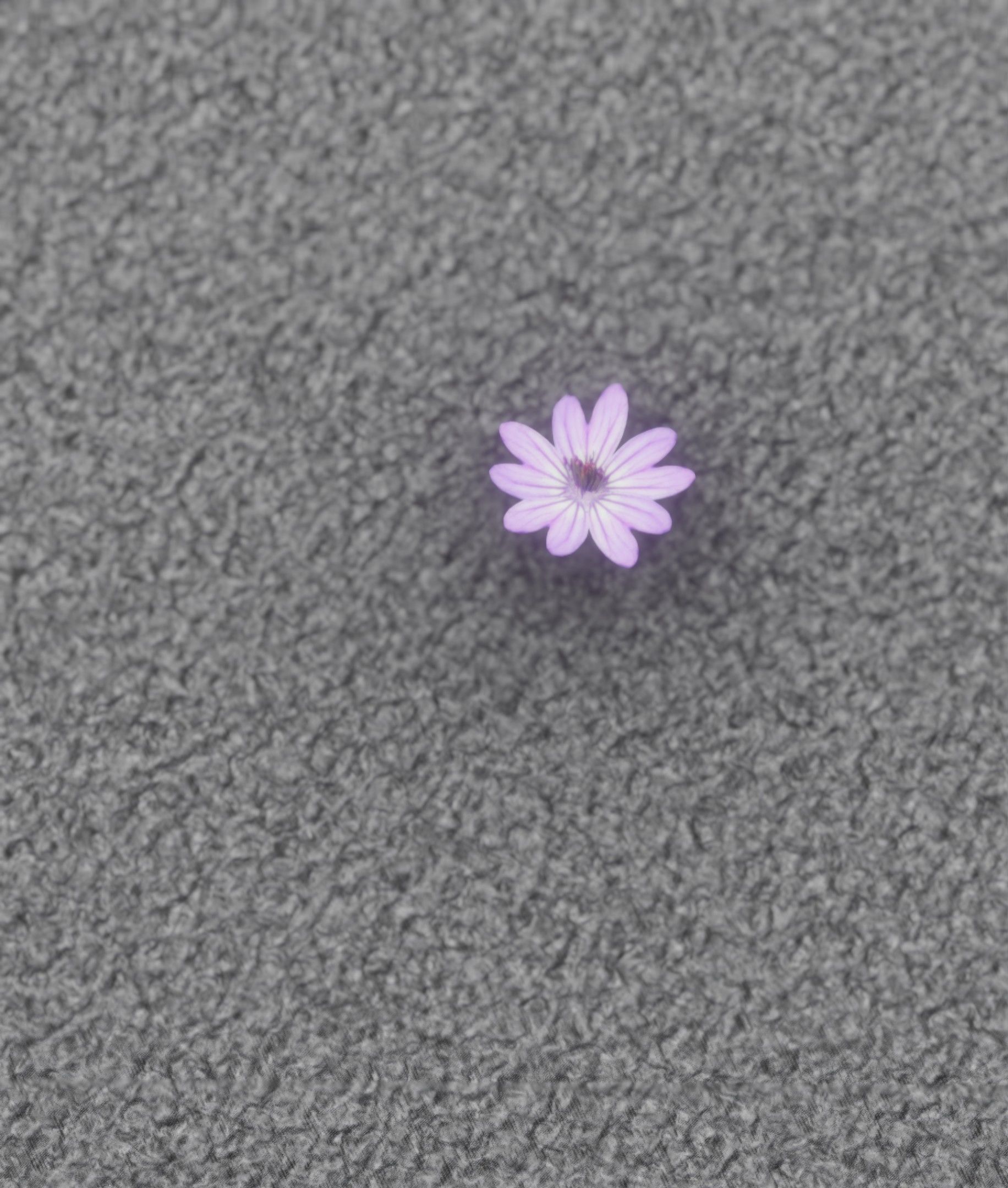Violet Flower Blossom Version 7 - Object 34 Low-poly 3D model_42