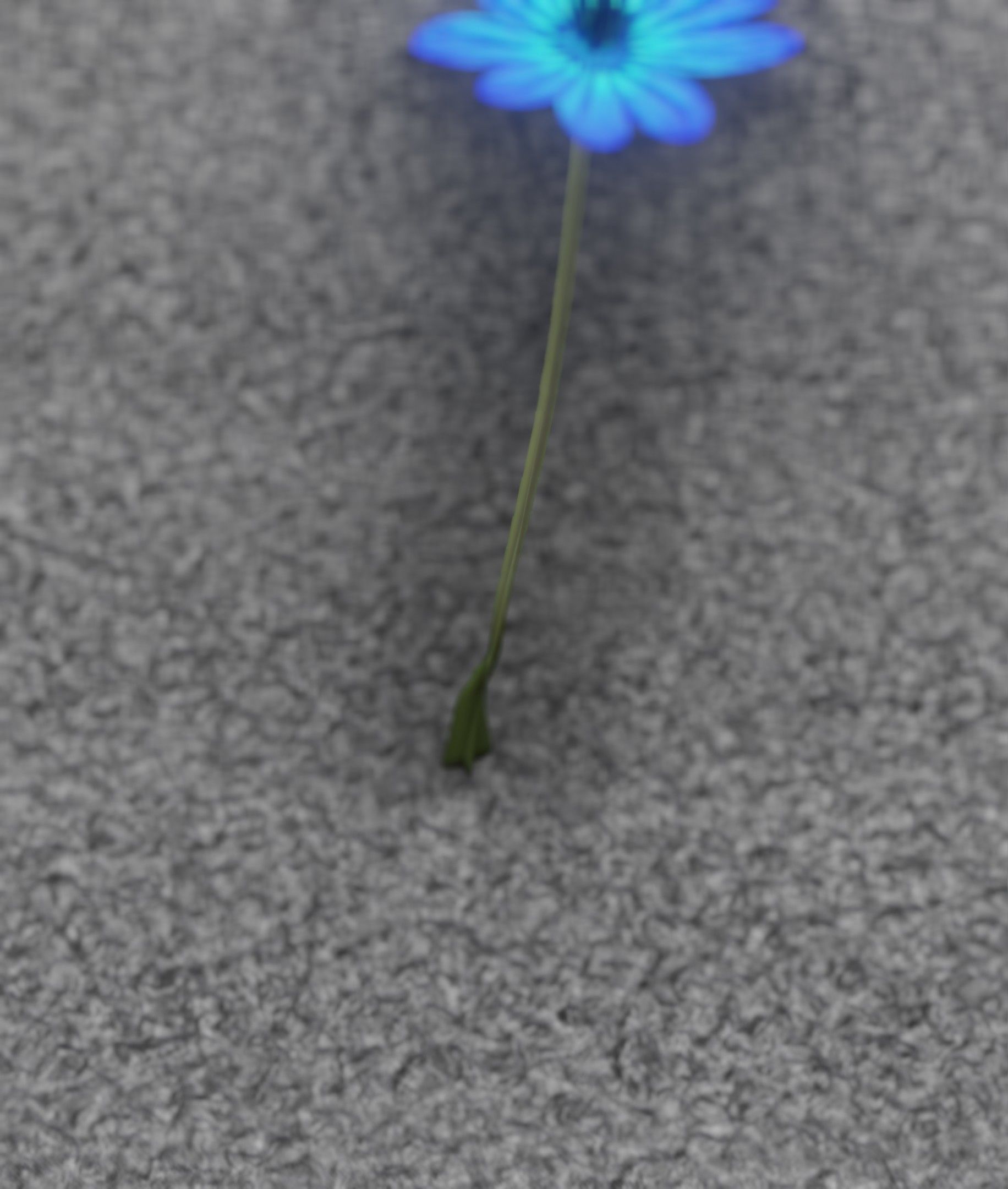 Blue Flower - Verion 5 - Object 35 Low-poly 3D model_13