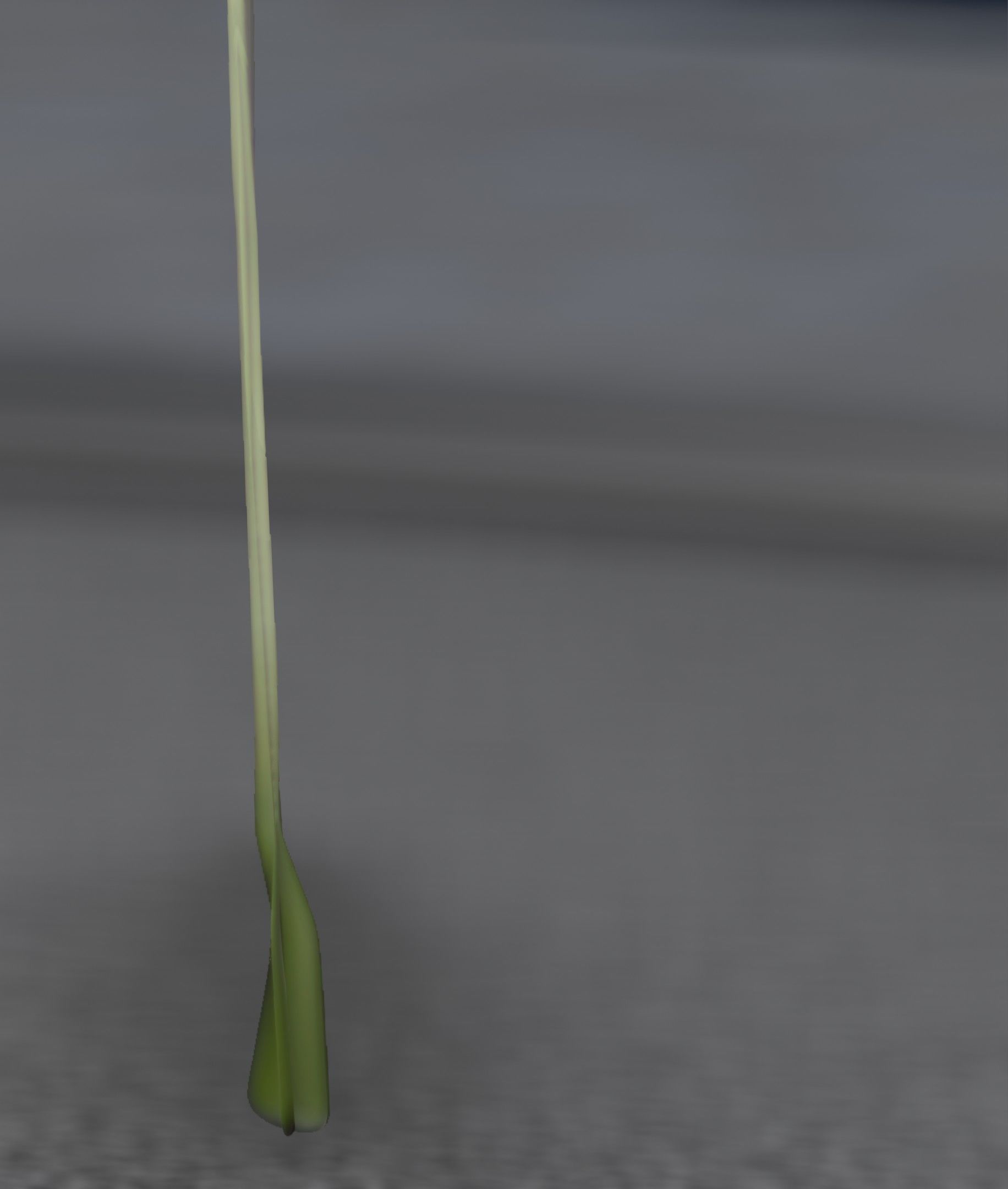 Blue Flower - Verion 5 - Object 35 Low-poly 3D model_21