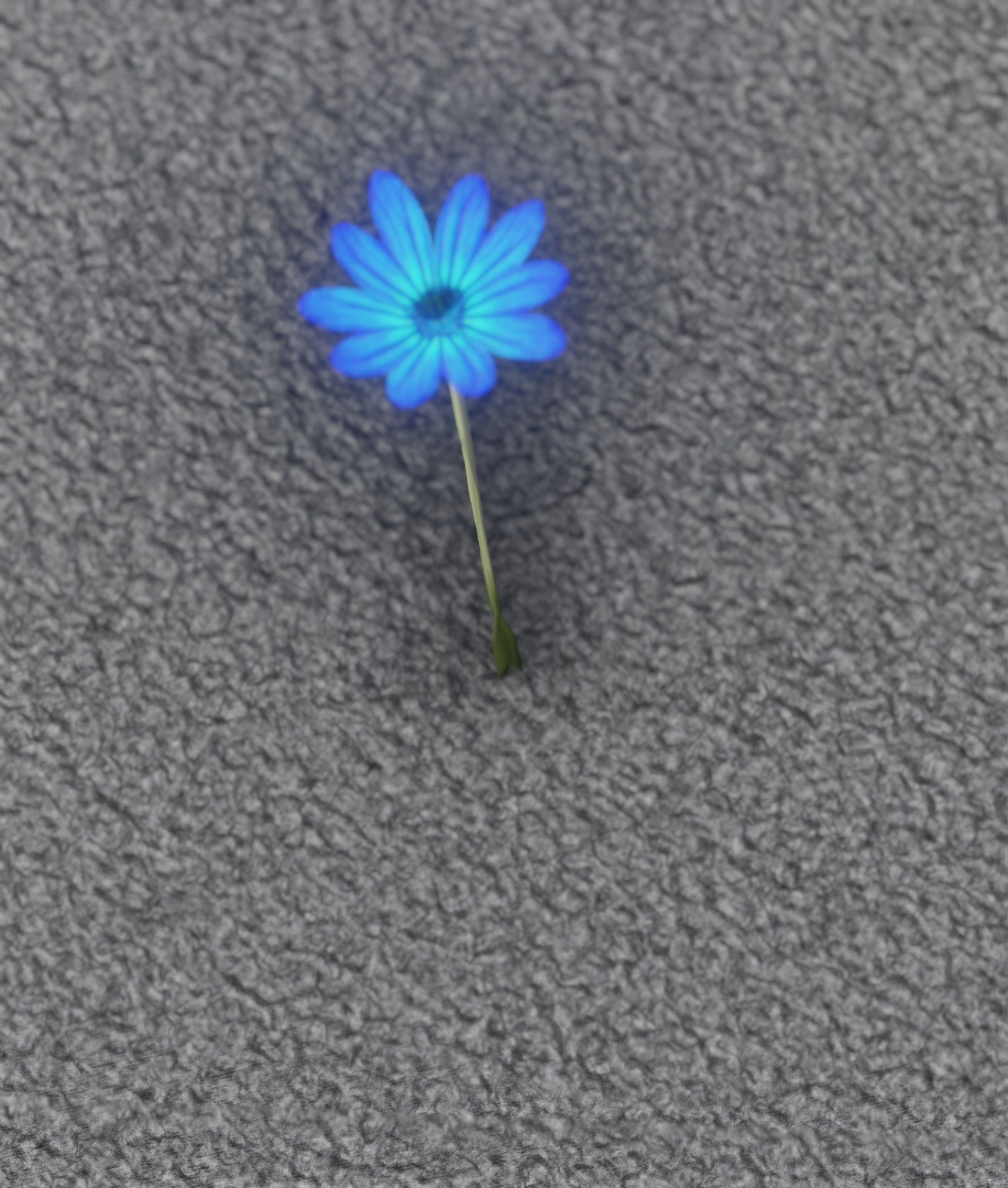 Blue Flower - Verion 5 - Object 35 Low-poly 3D model_7