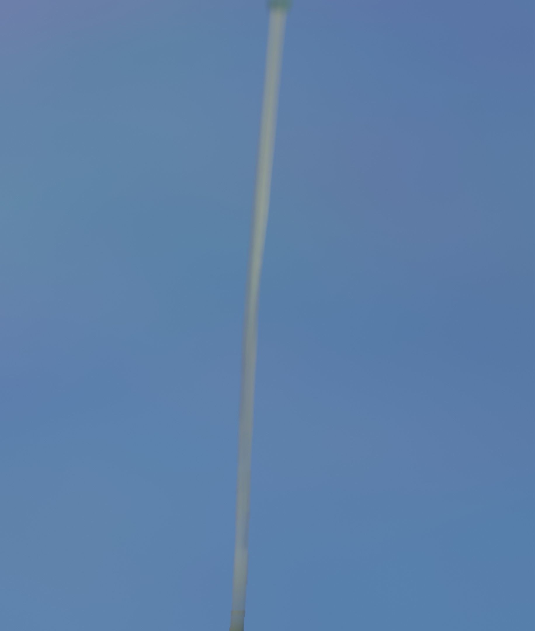 Blue Flower - Verion 5 - Object 35 Low-poly 3D model_16