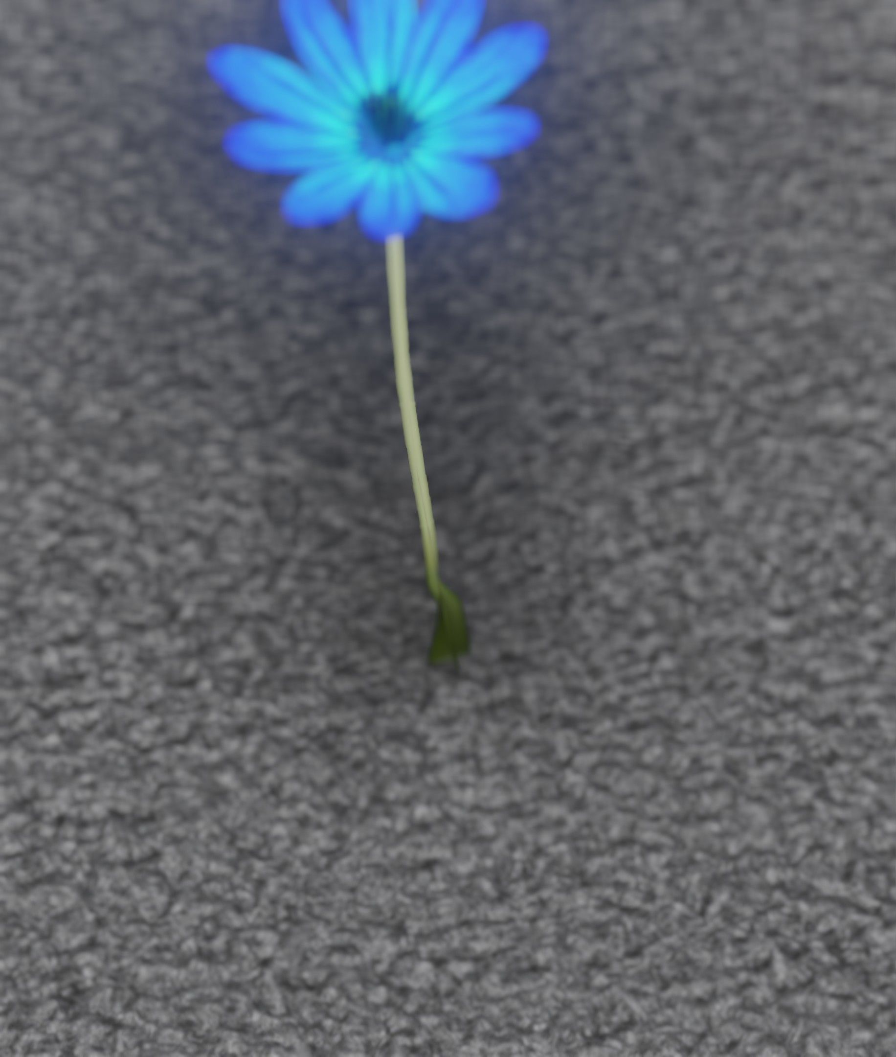 Blue Flower - Verion 5 - Object 35 Low-poly 3D model_4