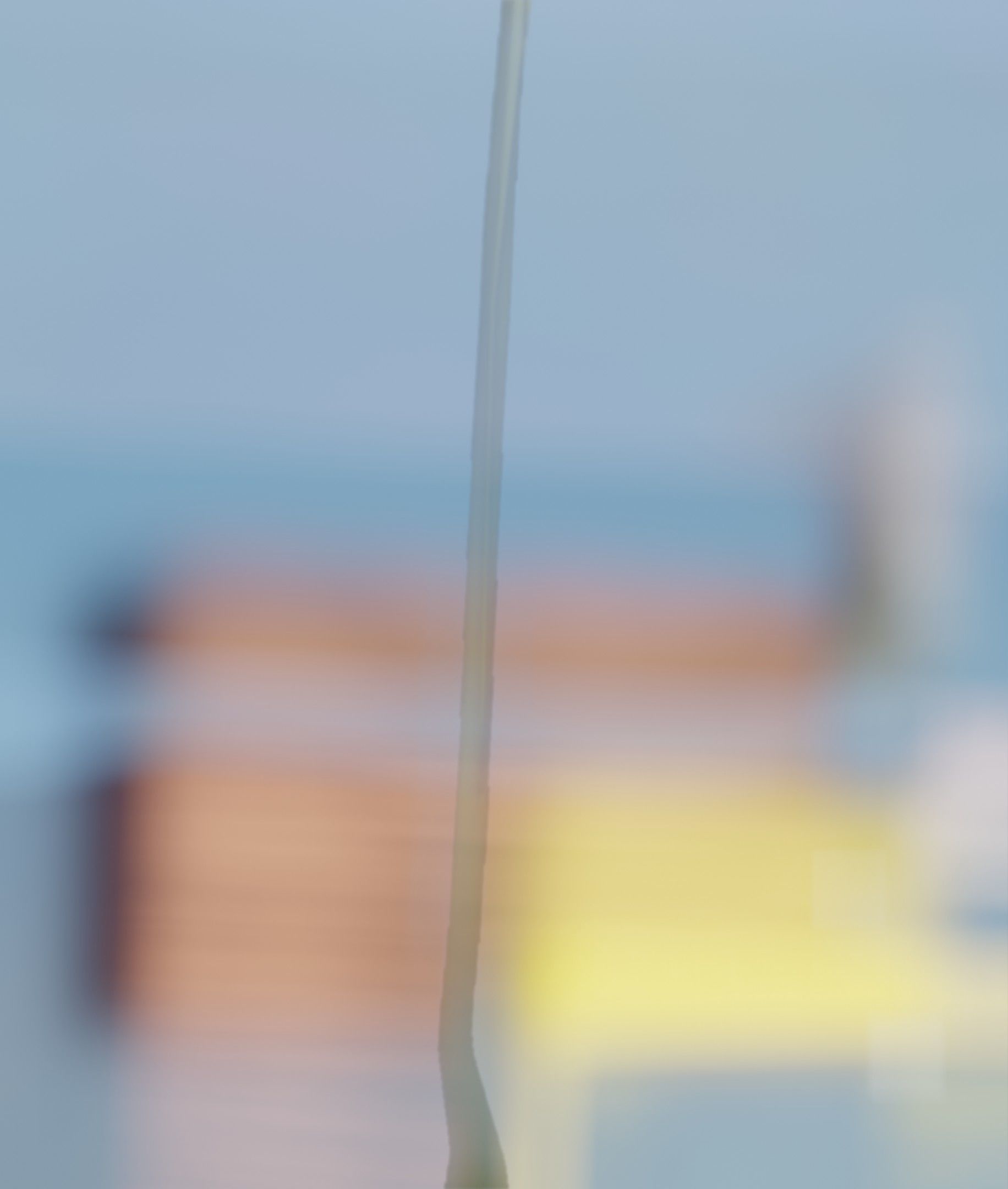 Blue Flower - Verion 5 - Object 35 Low-poly 3D model_50