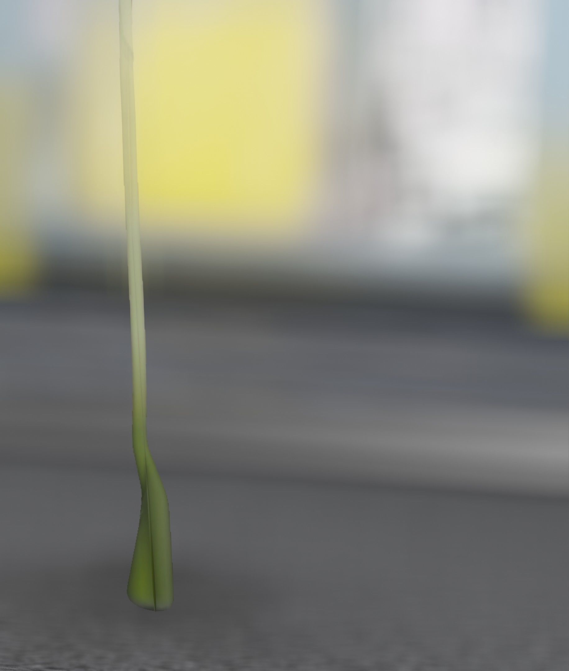 Blue Flower - Verion 5 - Object 35 Low-poly 3D model_20