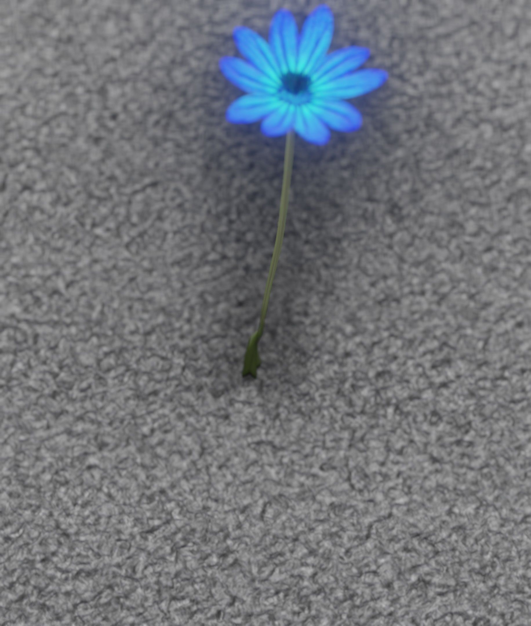 Blue Flower - Verion 5 - Object 35 Low-poly 3D model_12