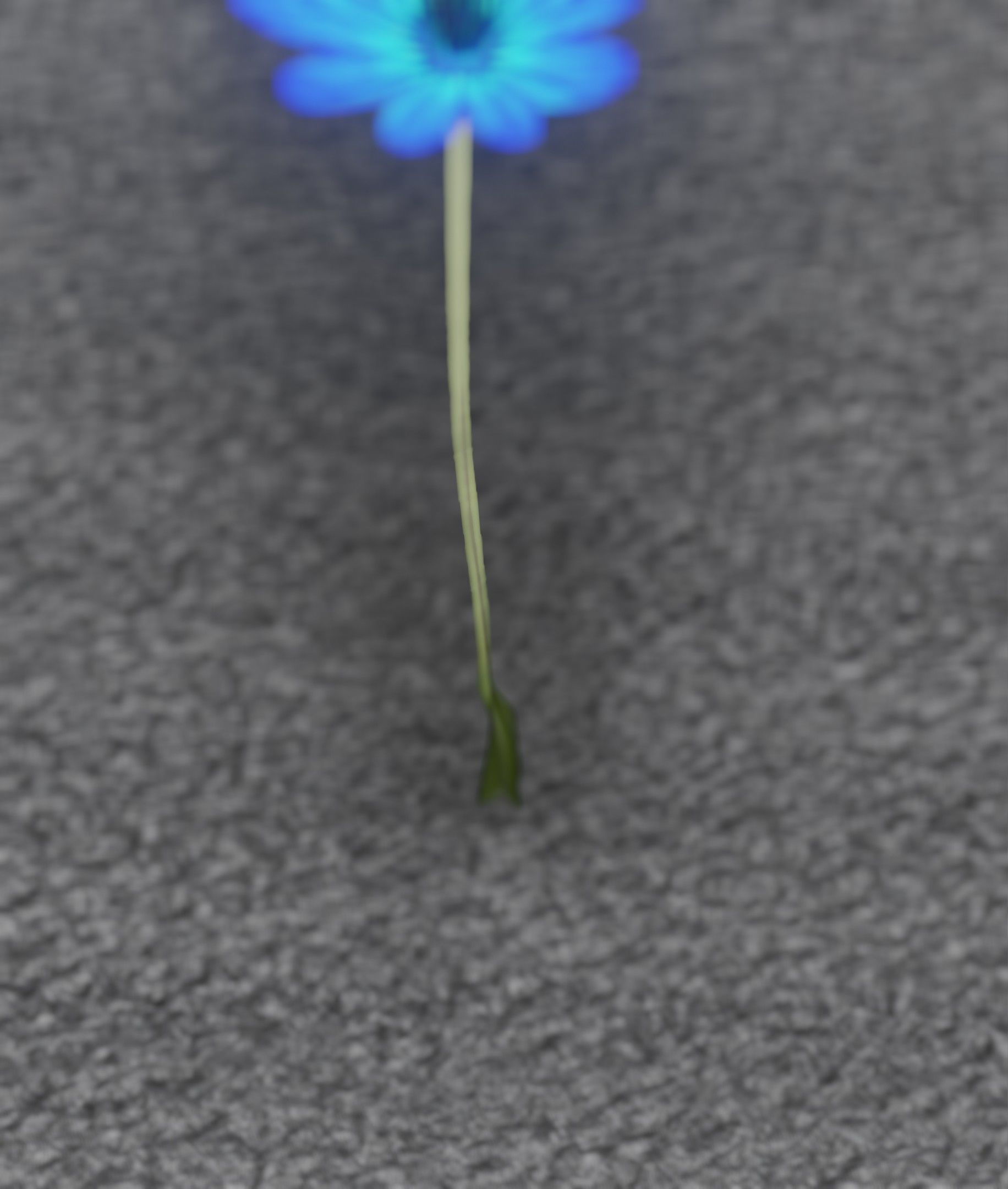 Blue Flower - Verion 5 - Object 35 Low-poly 3D model_46
