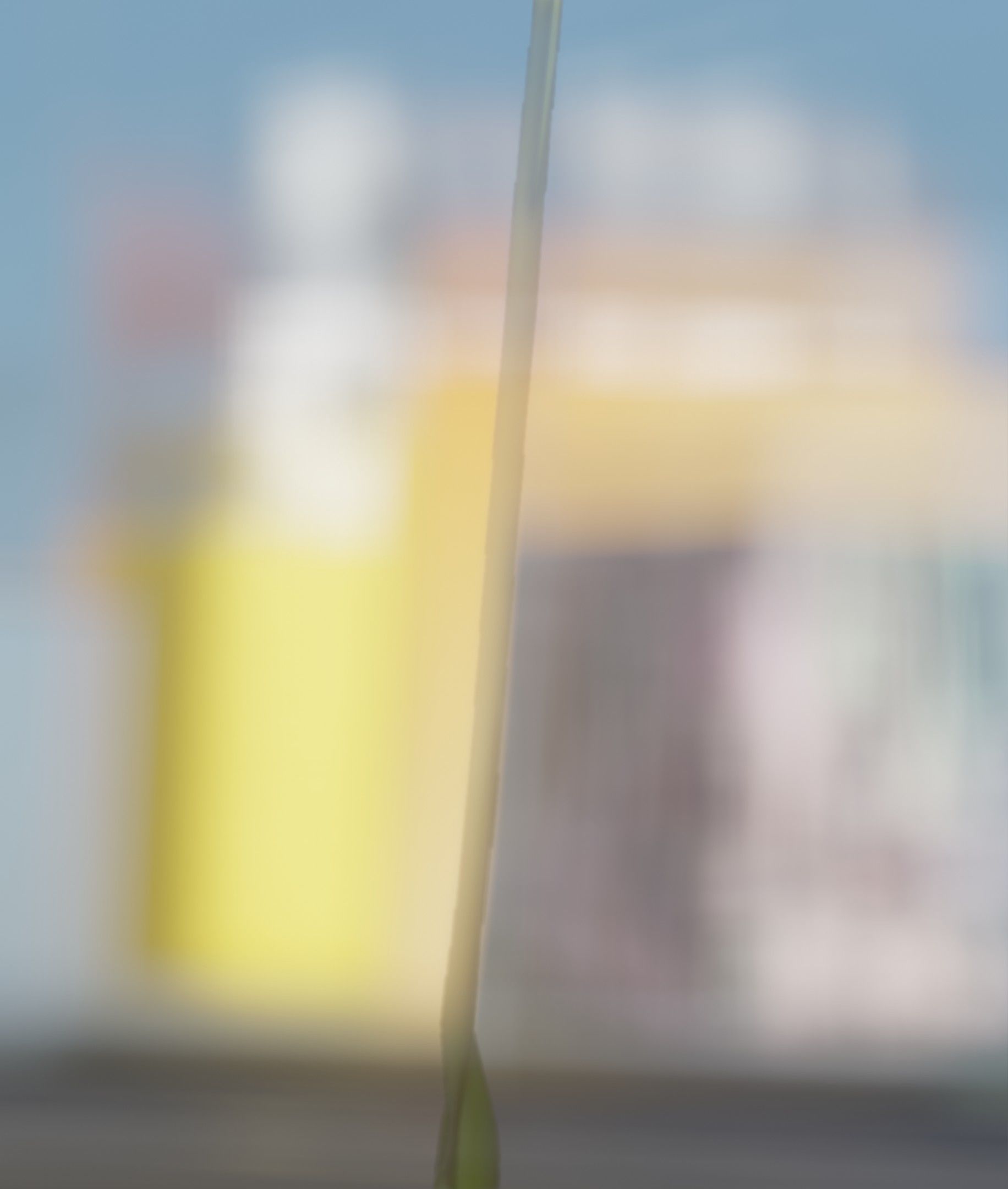 Blue Flower - Verion 5 - Object 35 Low-poly 3D model_49