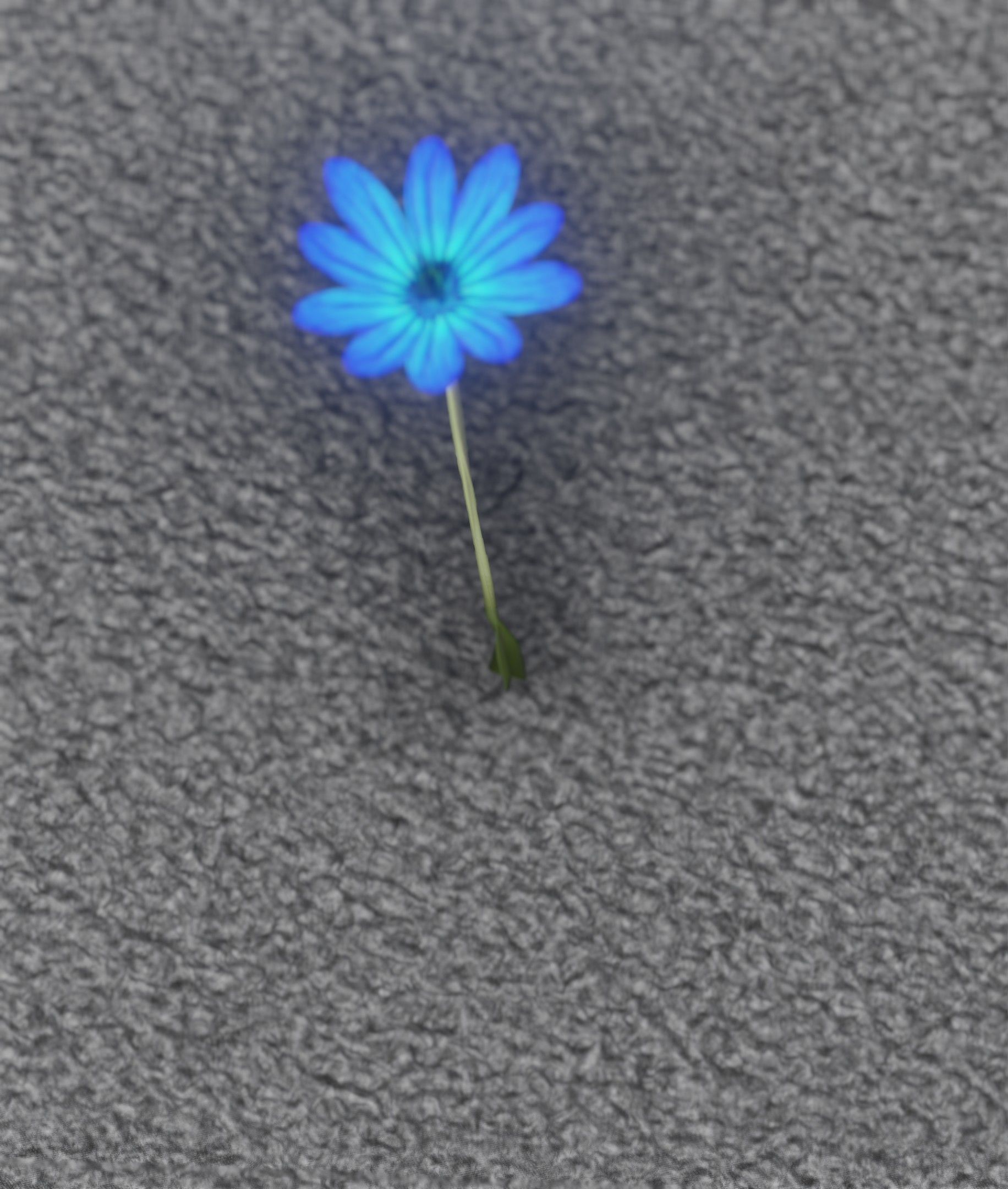 Blue Flower - Verion 5 - Object 35 Low-poly 3D model_6