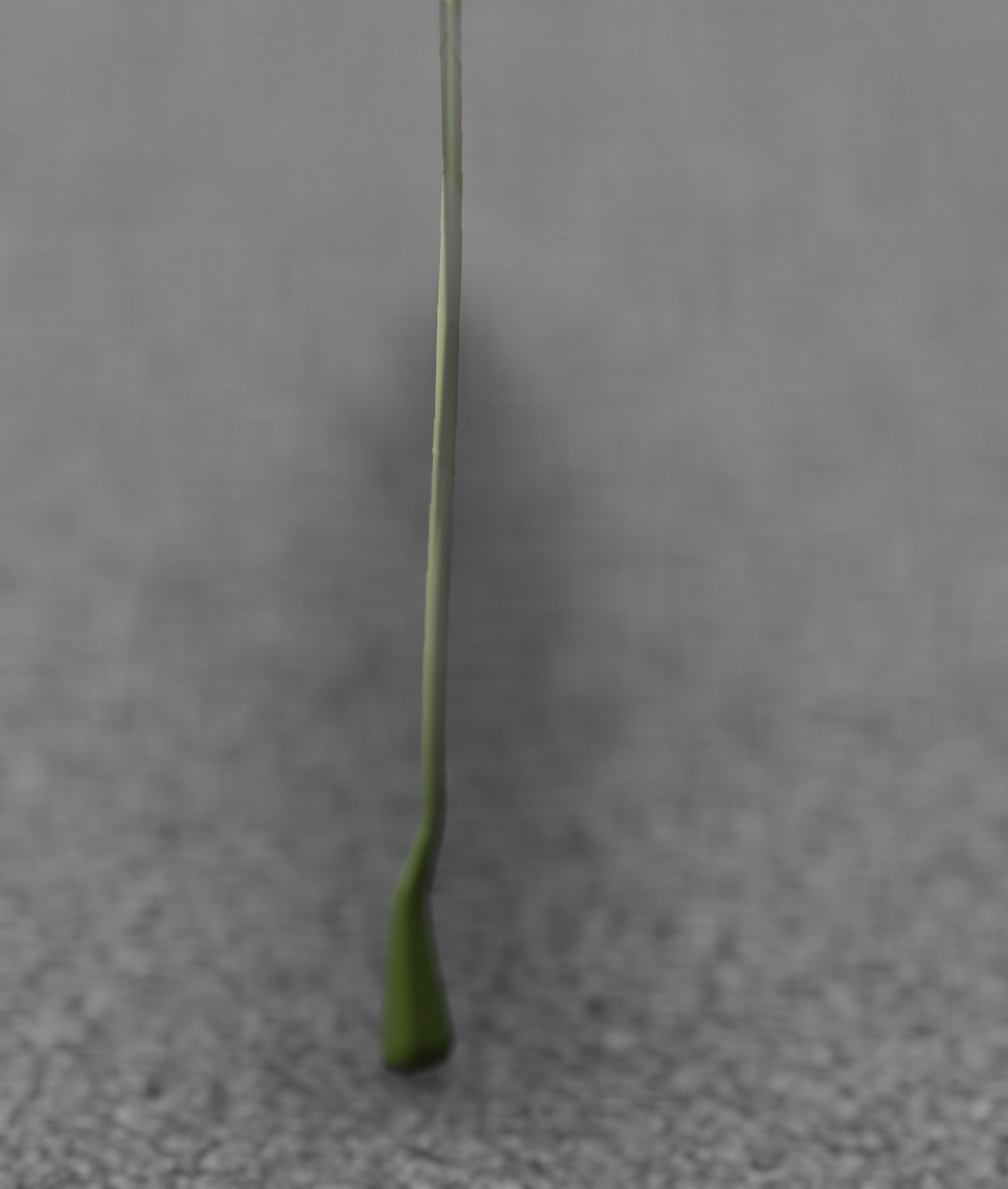 Blue Flower - Verion 5 - Object 35 Low-poly 3D model_24