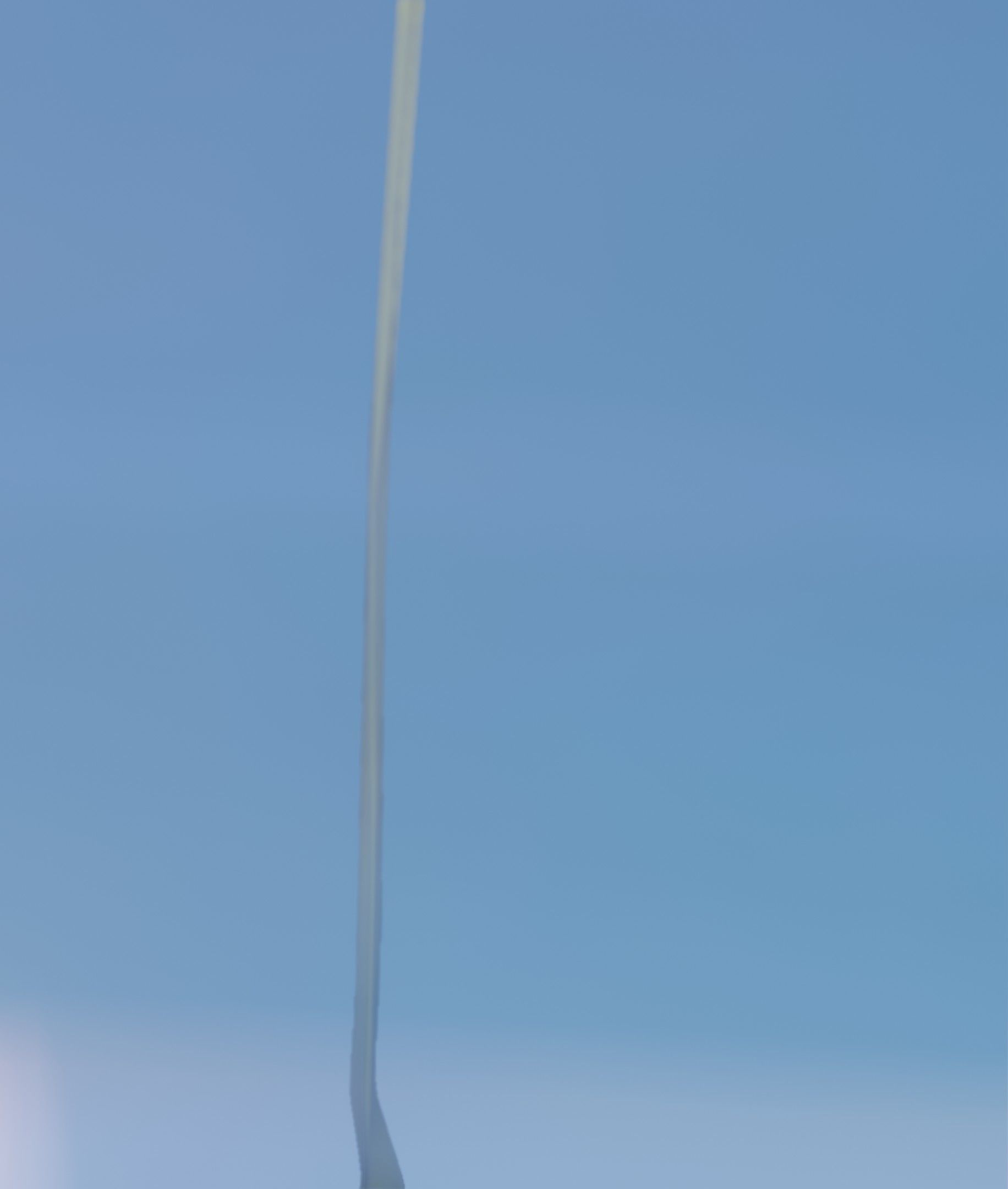 Blue Flower - Verion 5 - Object 35 Low-poly 3D model_17