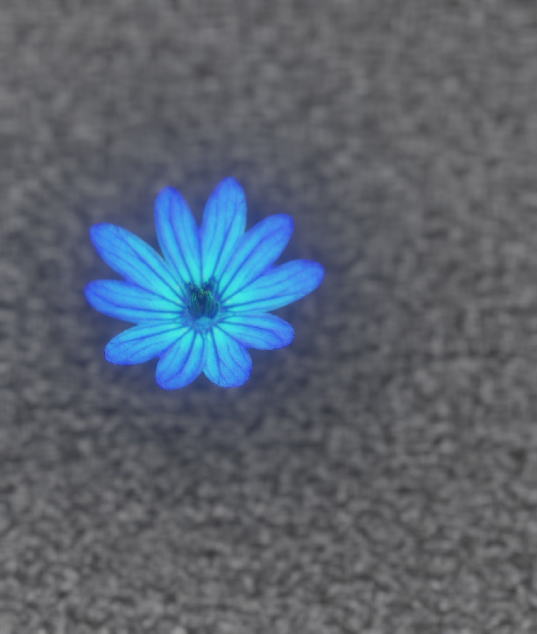 Blue Flower Blossom Version 6 - Object 36 Low-poly 3D model_8