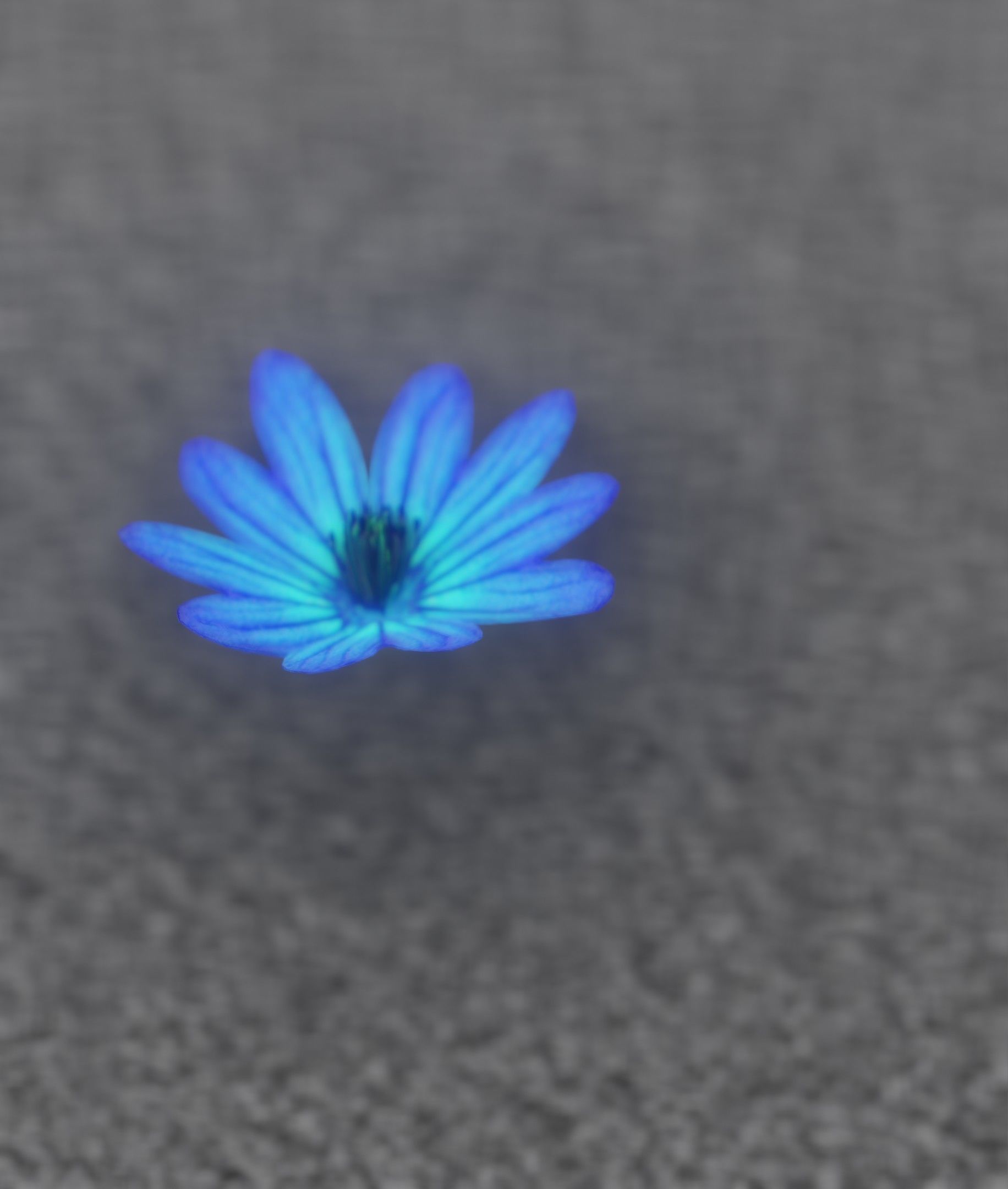 Blue Flower Blossom Version 6 - Object 36 Low-poly 3D model_30