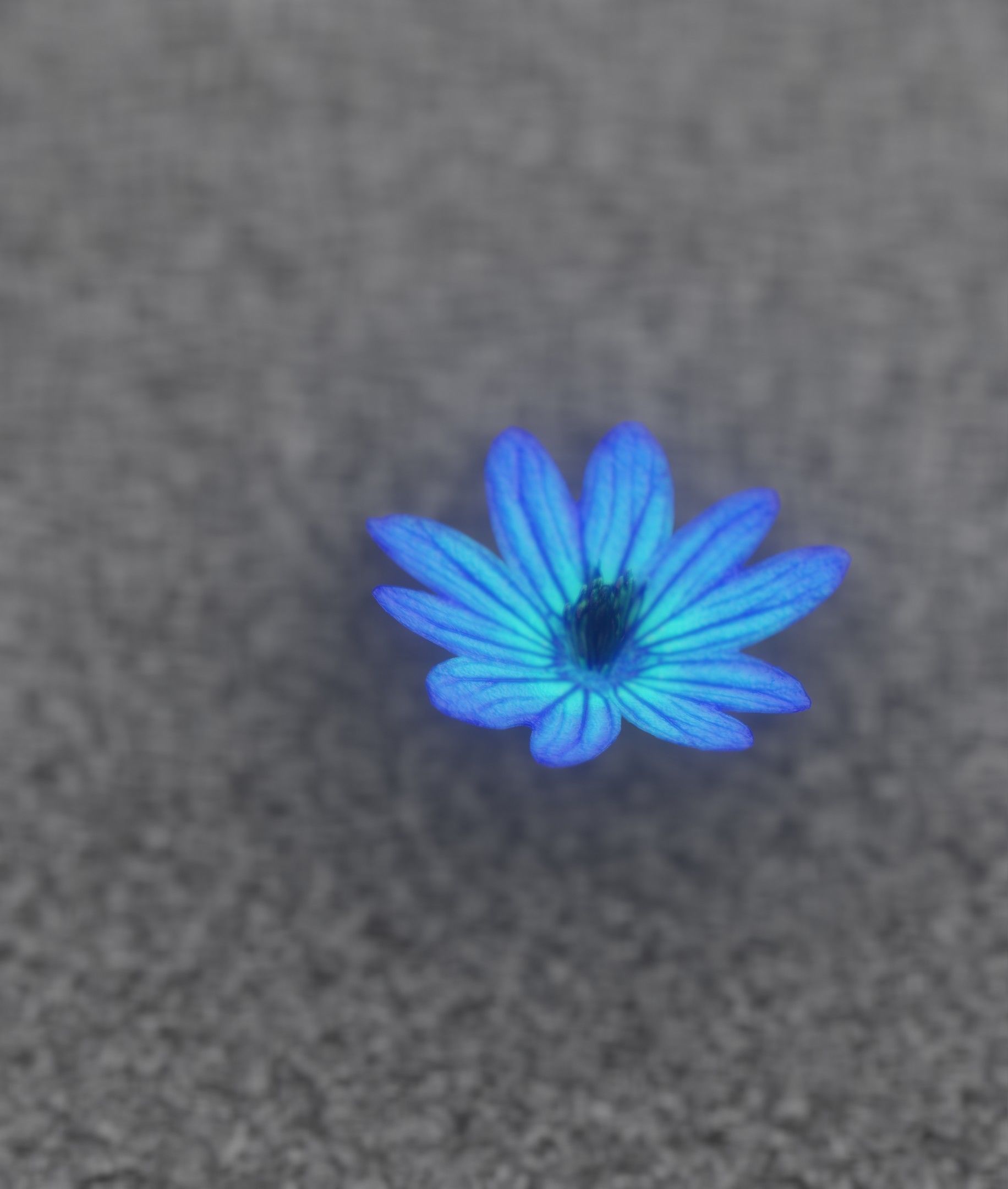 Blue Flower Blossom Version 6 - Object 36 Low-poly 3D model_26
