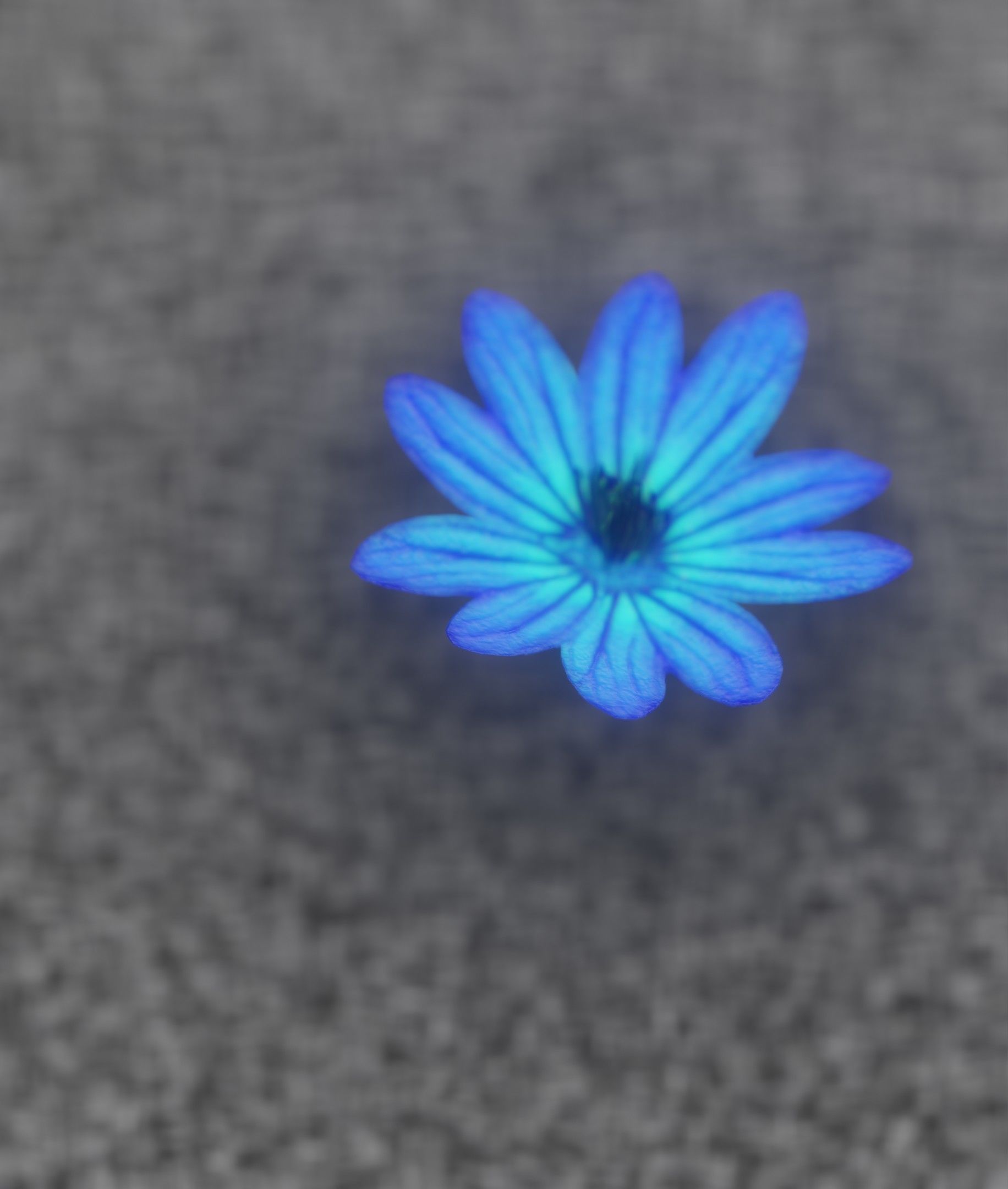 Blue Flower Blossom Version 6 - Object 36 Low-poly 3D model_43