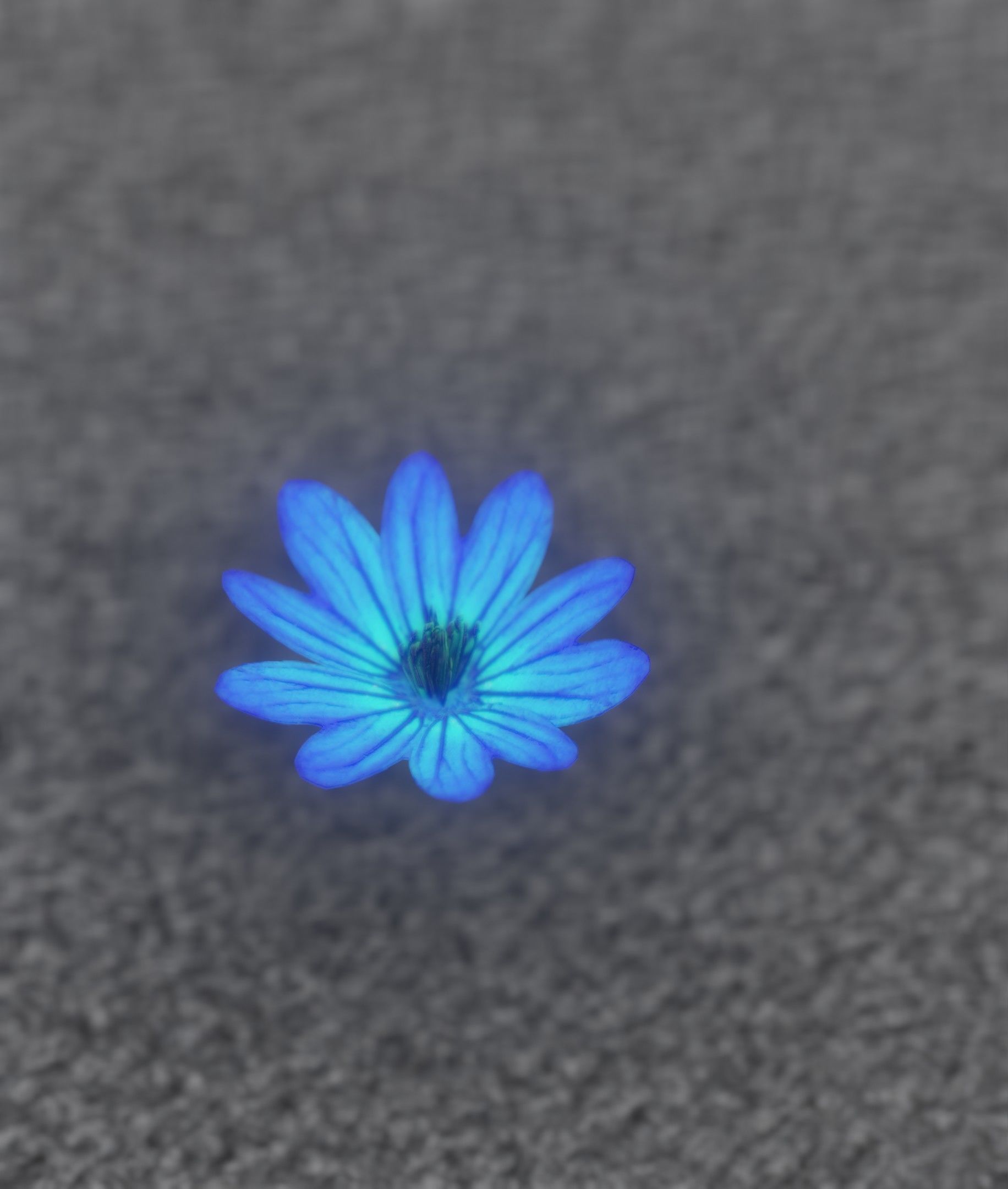 Blue Flower Blossom Version 6 - Object 36 Low-poly 3D model_28