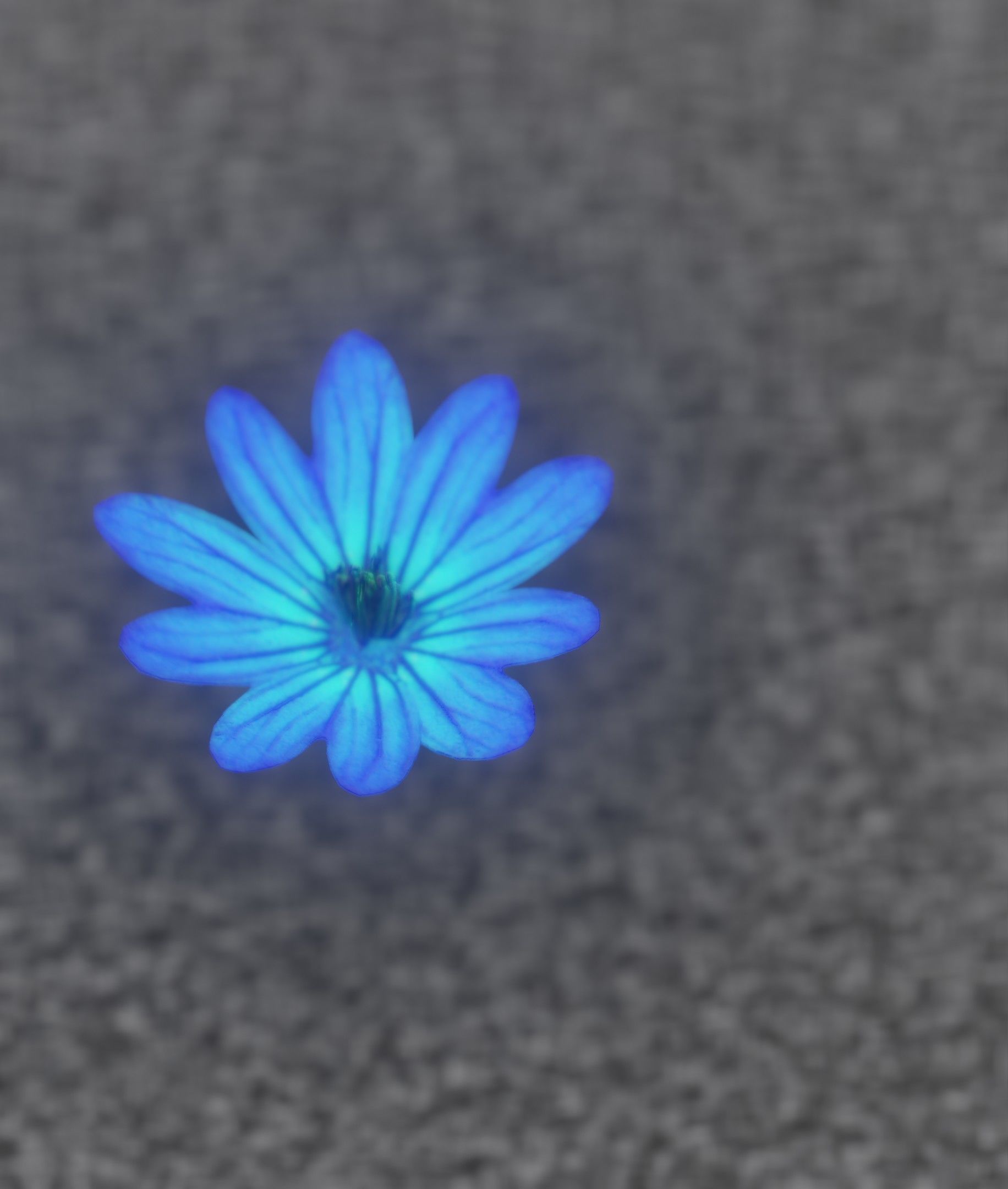 Blue Flower Blossom Version 6 - Object 36 Low-poly 3D model_7