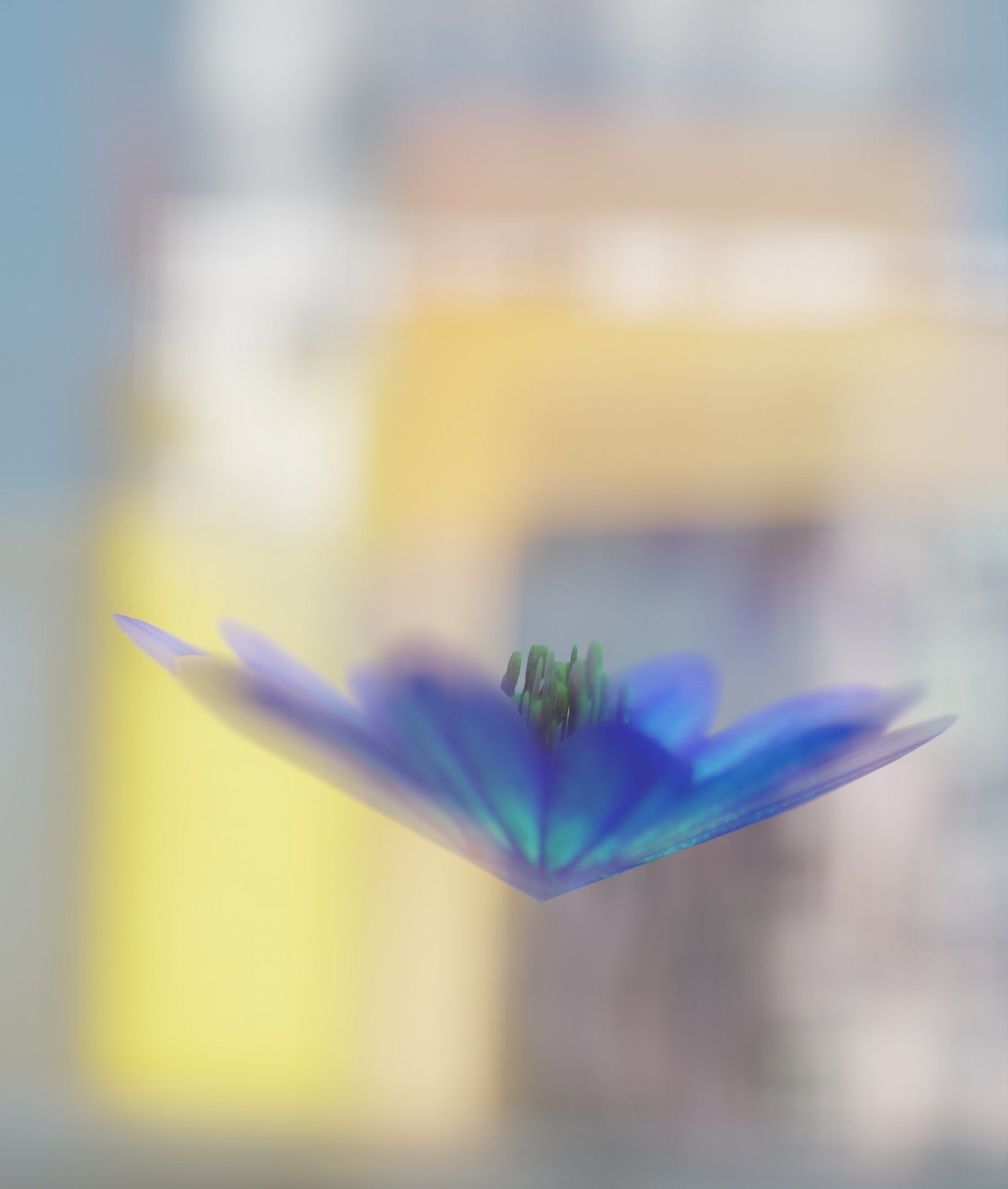 Blue Flower Blossom Version 6 - Object 36 Low-poly 3D model_48