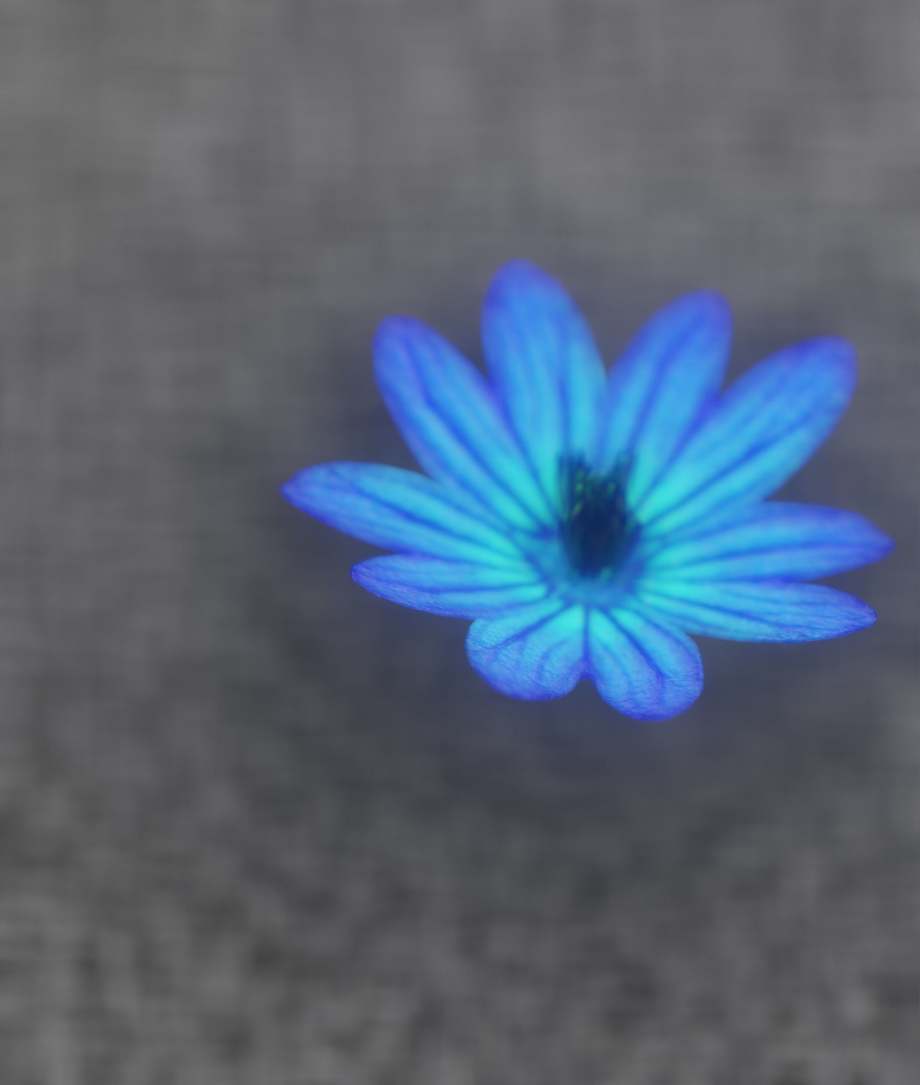 Blue Flower Blossom Version 6 - Object 36 Low-poly 3D model_44