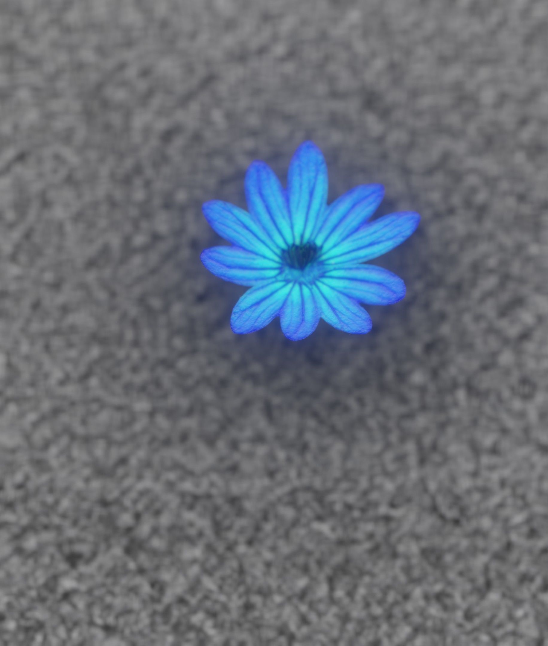 Blue Flower Blossom Version 6 - Object 36 Low-poly 3D model_16