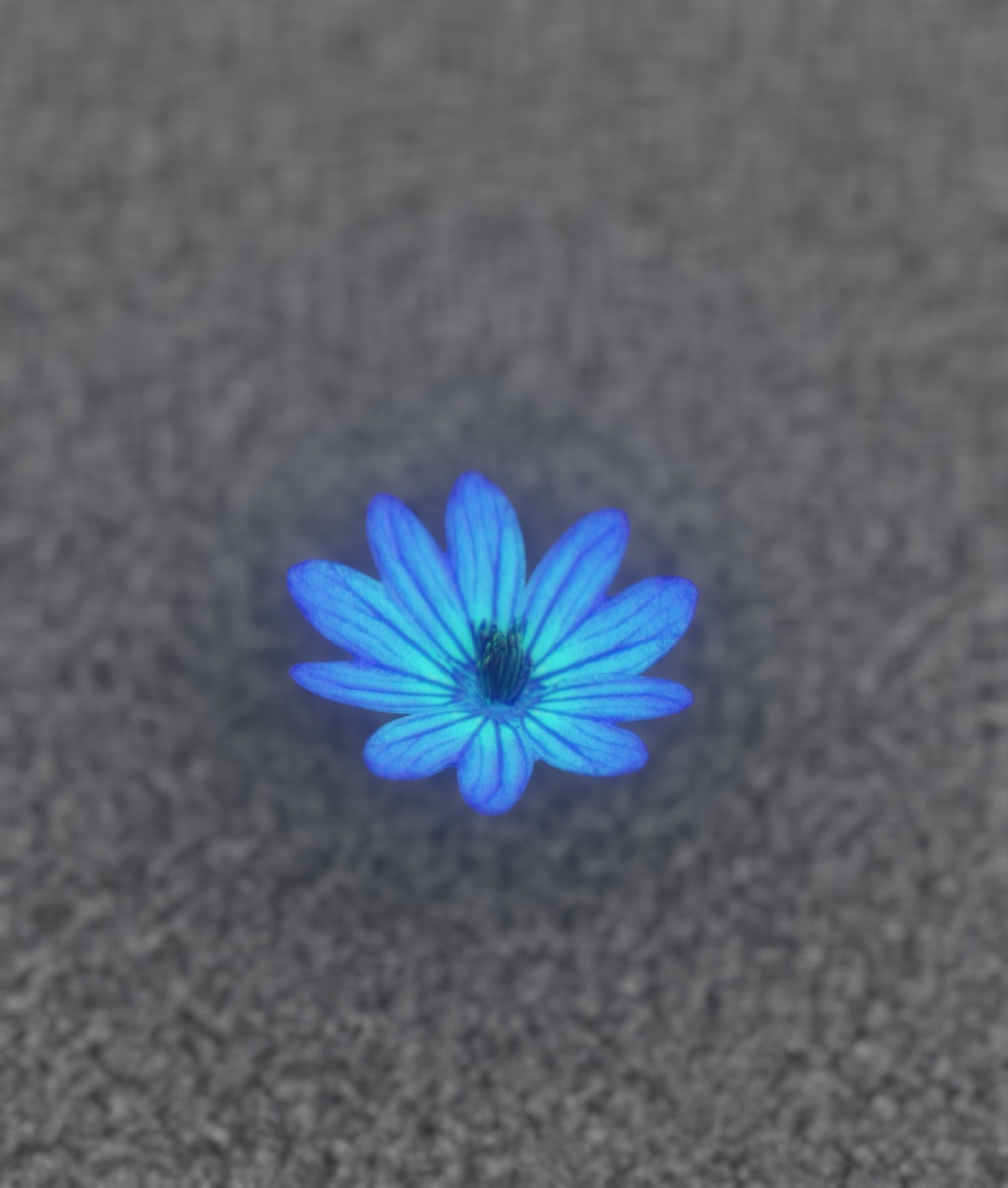 Blue Flower Blossom Version 6 - Object 36 Low-poly 3D model_27