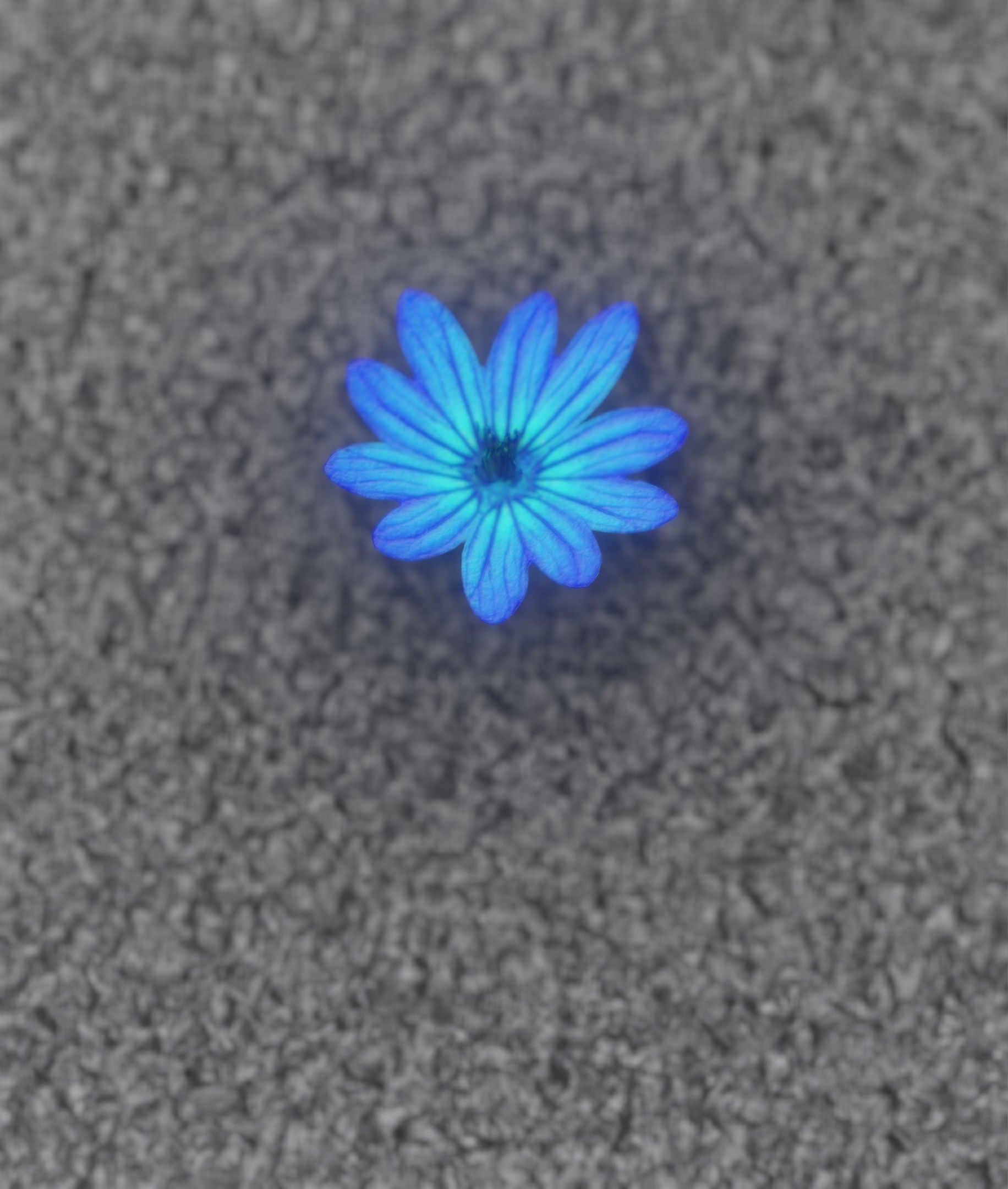 Blue Flower Blossom Version 6 - Object 36 Low-poly 3D model_14