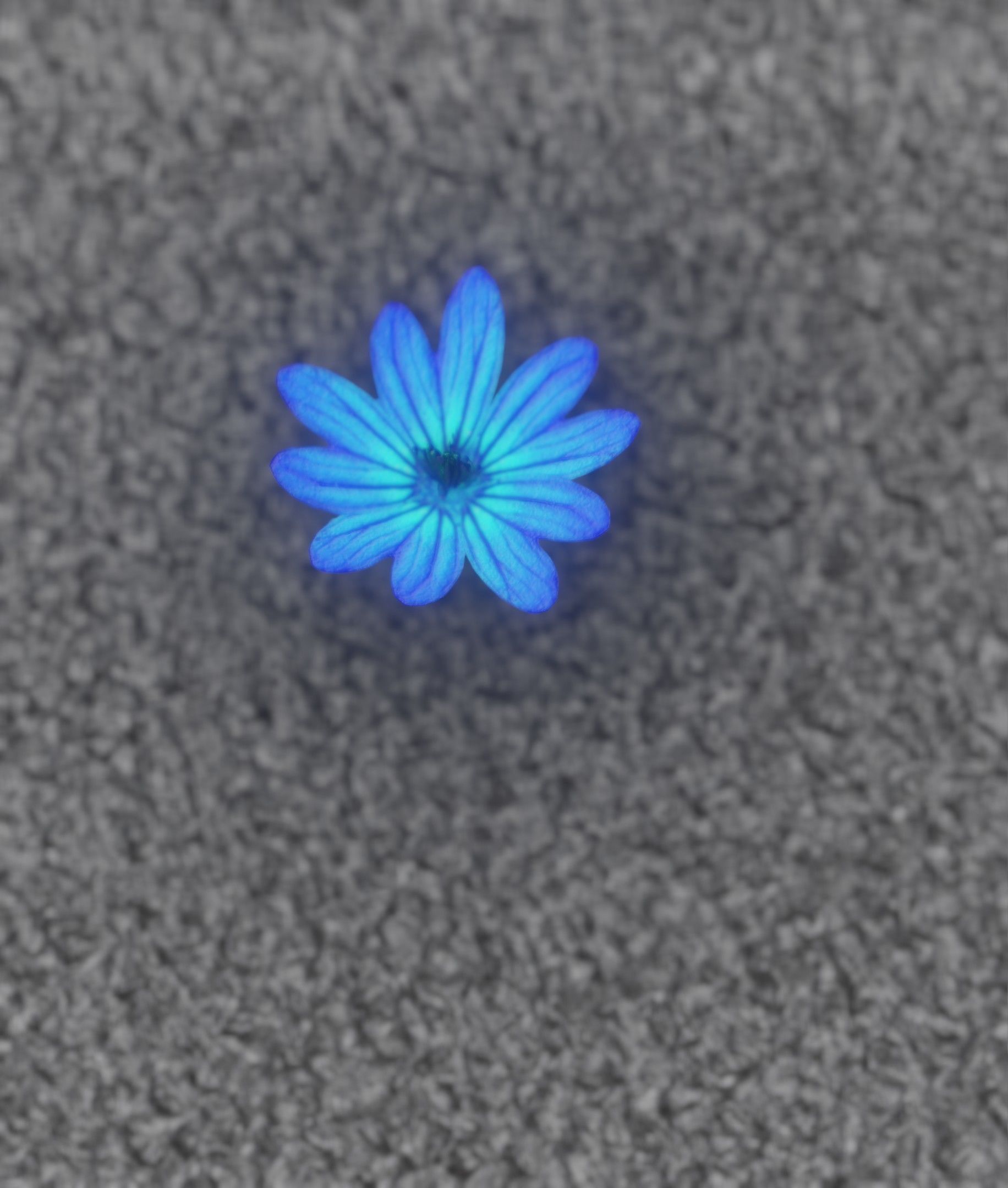 Blue Flower Blossom Version 6 - Object 36 Low-poly 3D model_12