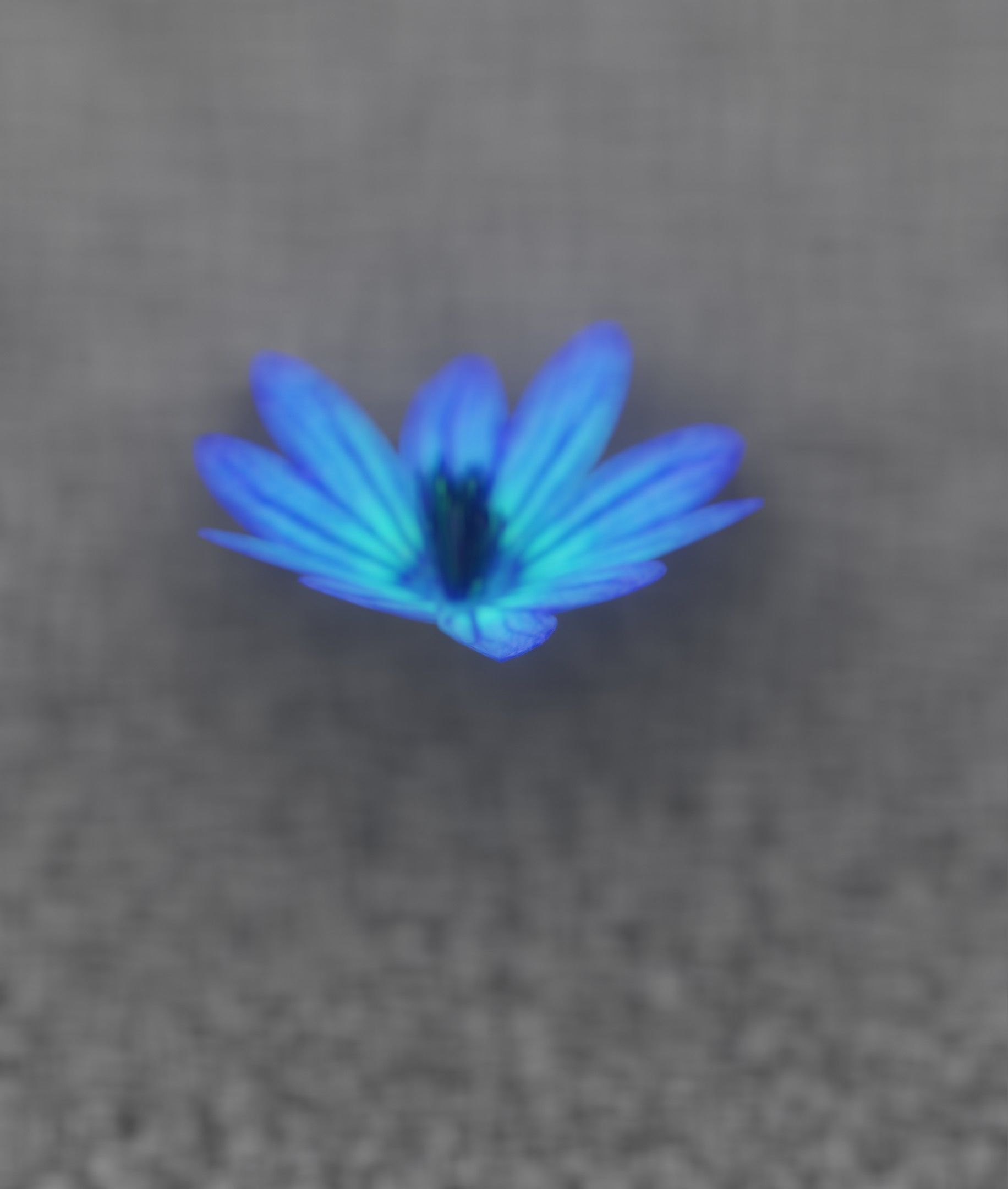 Blue Flower Blossom Version 6 - Object 36 Low-poly 3D model_32