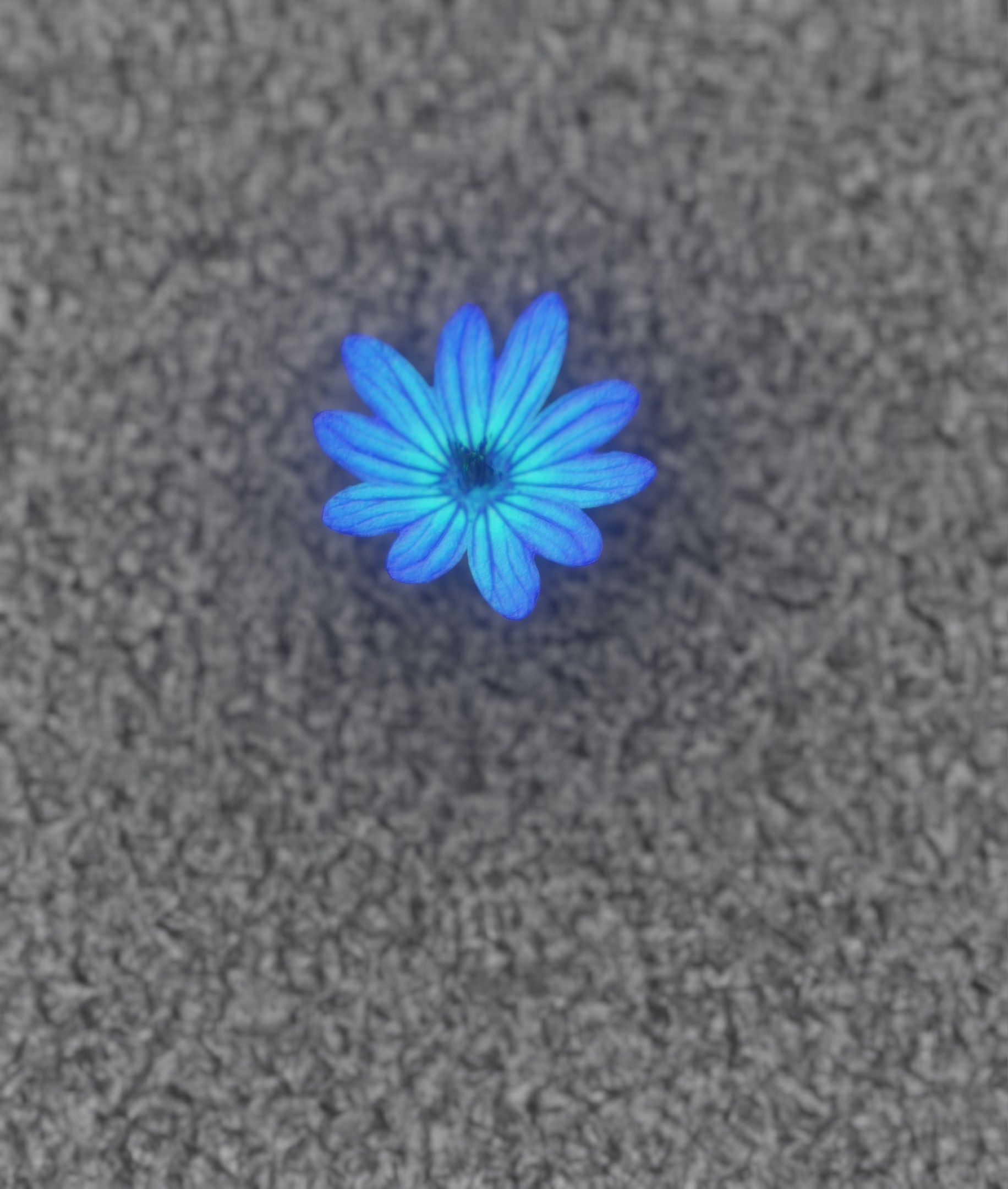 Blue Flower Blossom Version 6 - Object 36 Low-poly 3D model_13