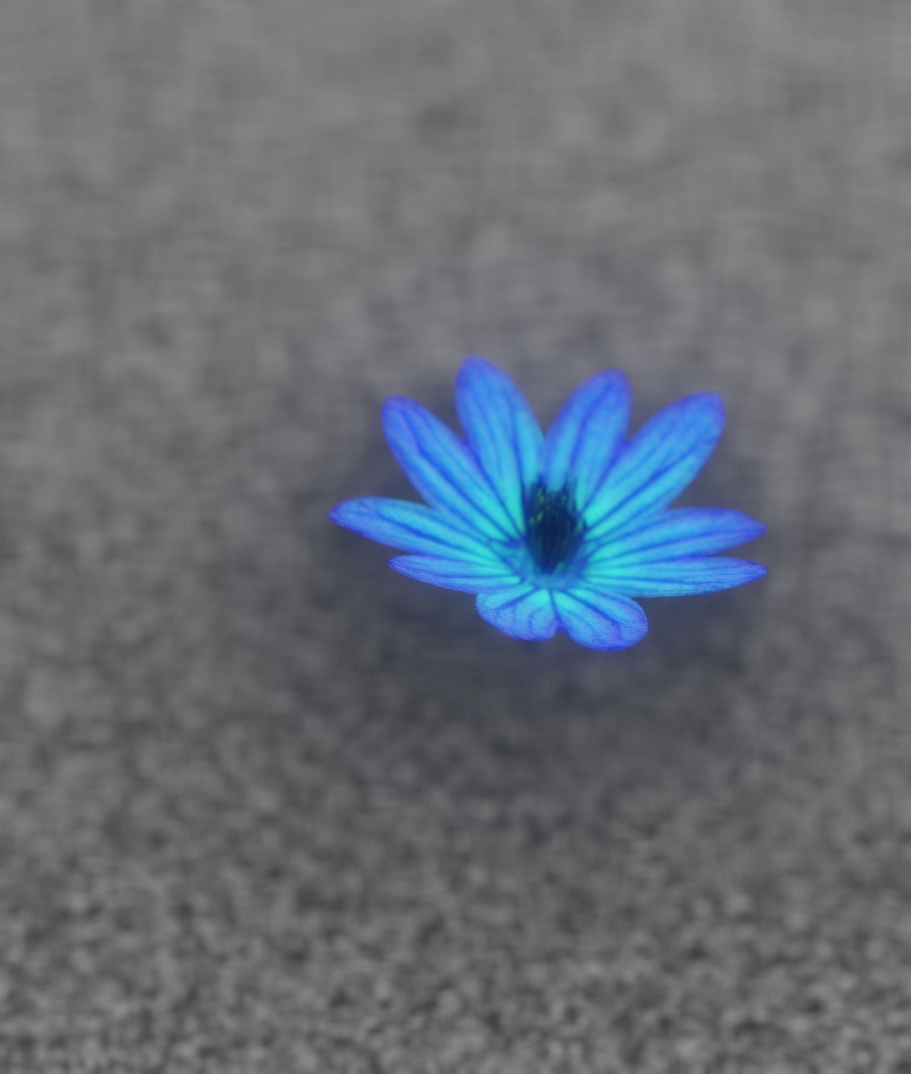Blue Flower Blossom Version 6 - Object 36 Low-poly 3D model_25