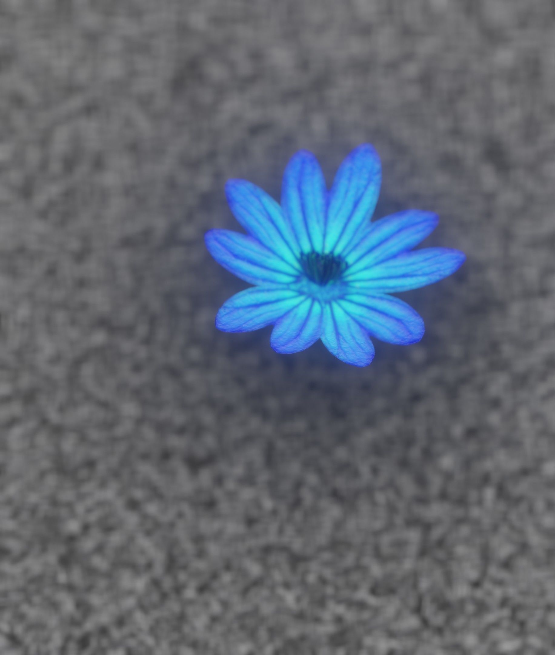 Blue Flower Blossom Version 6 - Object 36 Low-poly 3D model_42