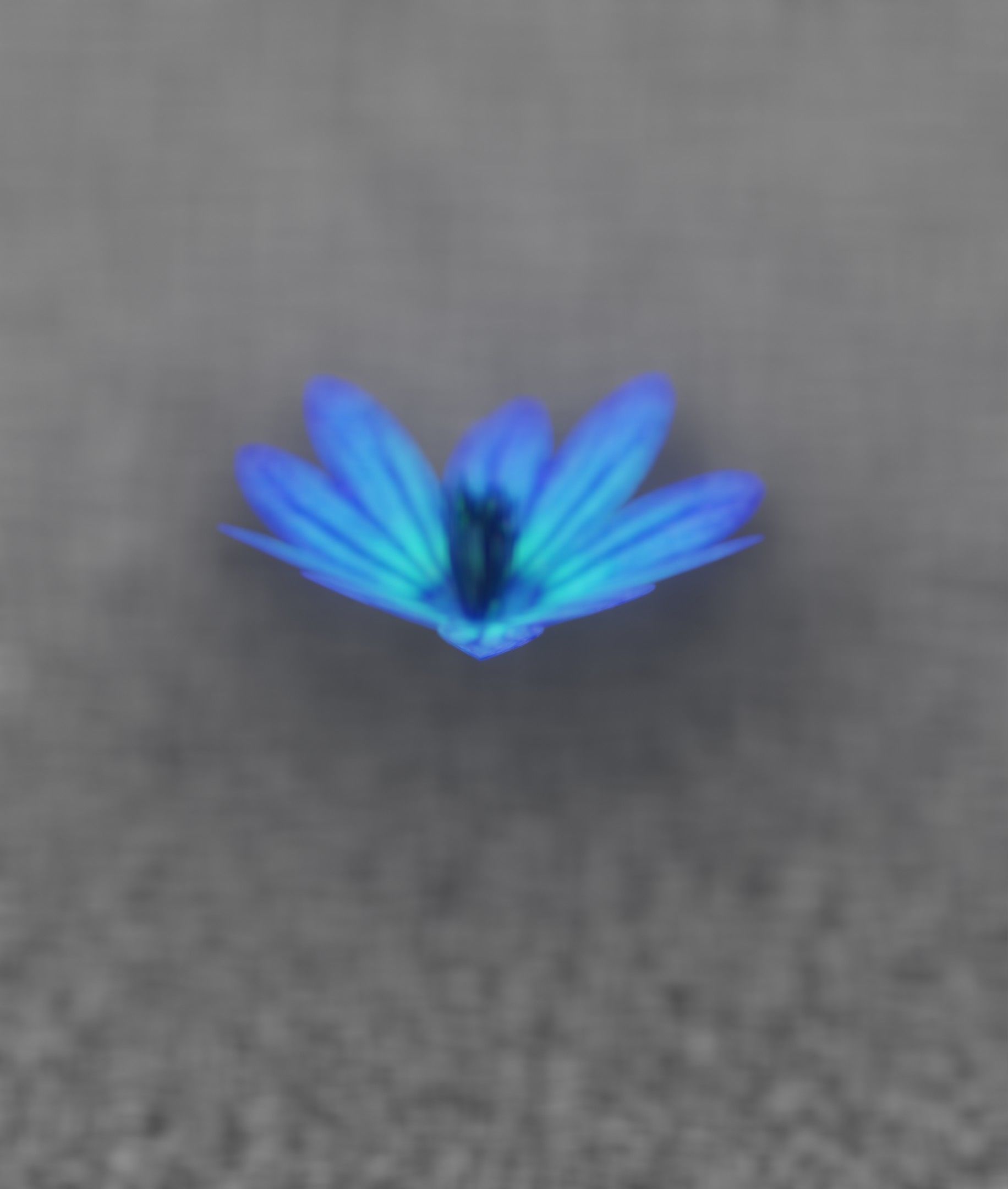 Blue Flower Blossom Version 6 - Object 36 Low-poly 3D model_22