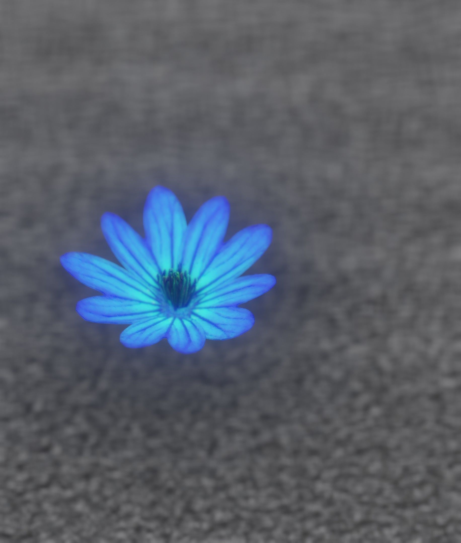 Blue Flower Blossom Version 6 - Object 36 Low-poly 3D model_2