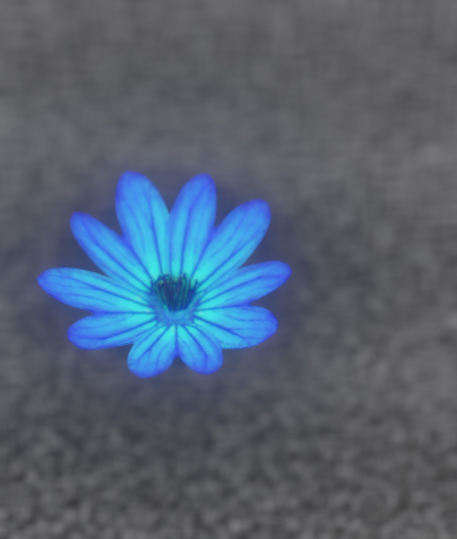 Blue Flower Blossom Version 6 - Object 36 Low-poly 3D model_6