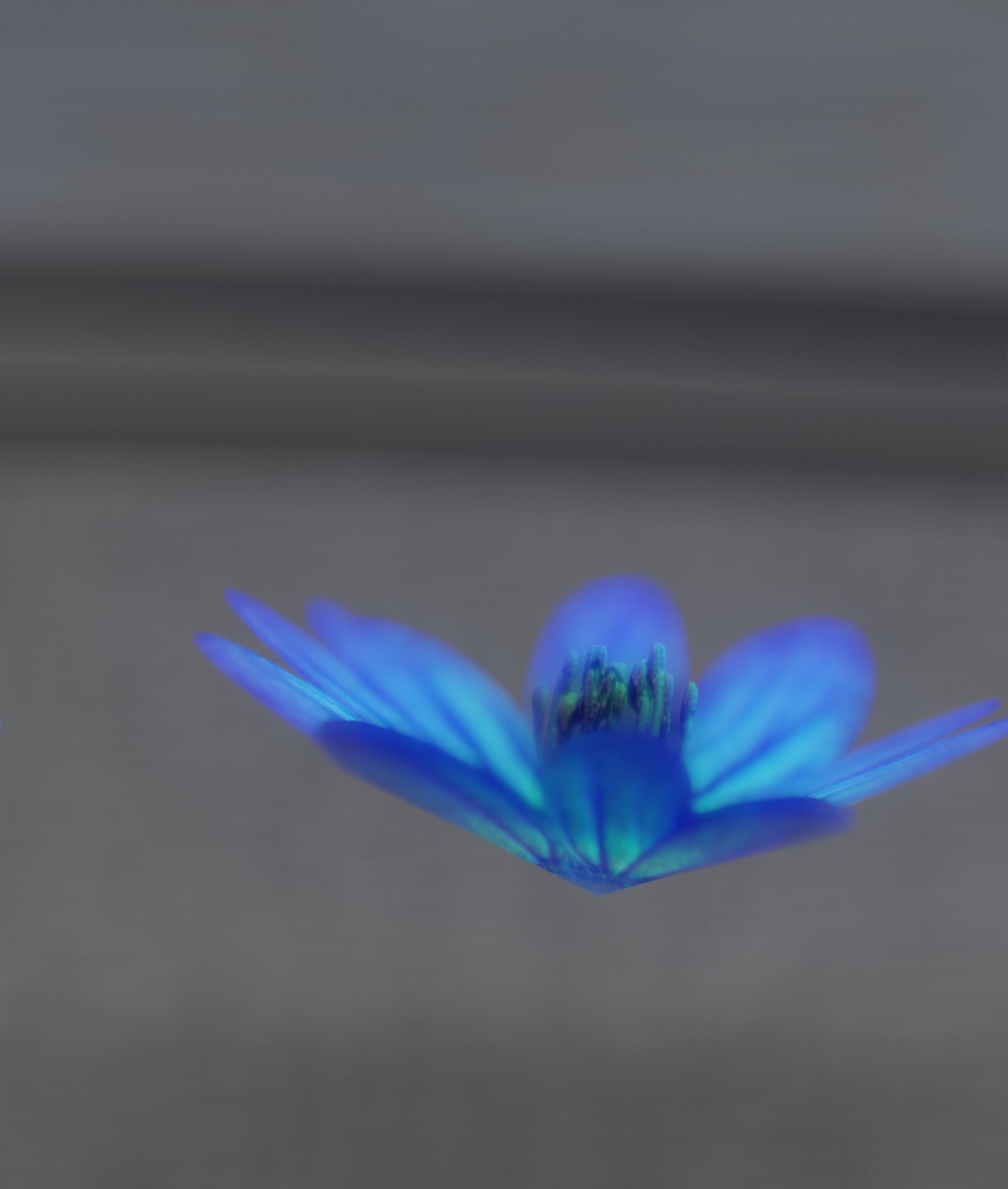 Blue Flower Blossom Version 6 - Object 36 Low-poly 3D model_47