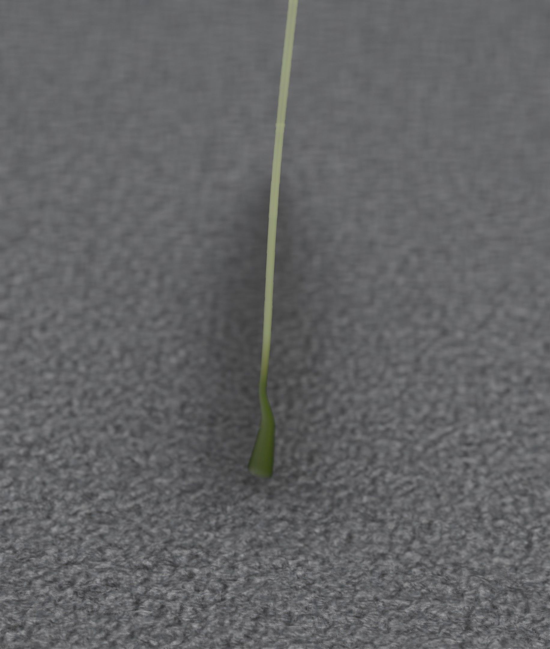 Low-Poly Dandelion Flower Version 6 - Object 37 Low-poly 3D model_48