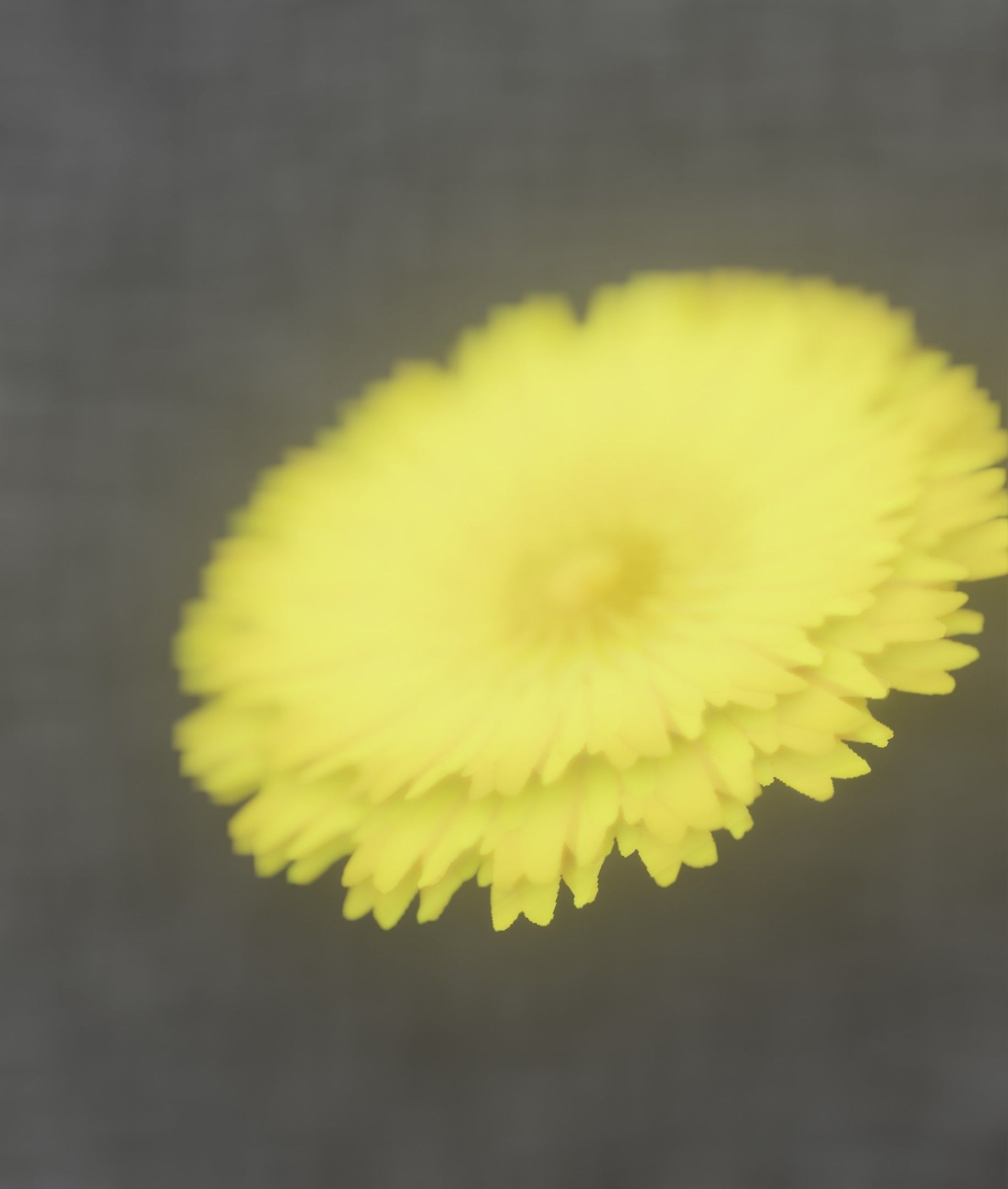 Dandelion Flower Blossom Version 7 - Object 38 Low-poly 3D model_28