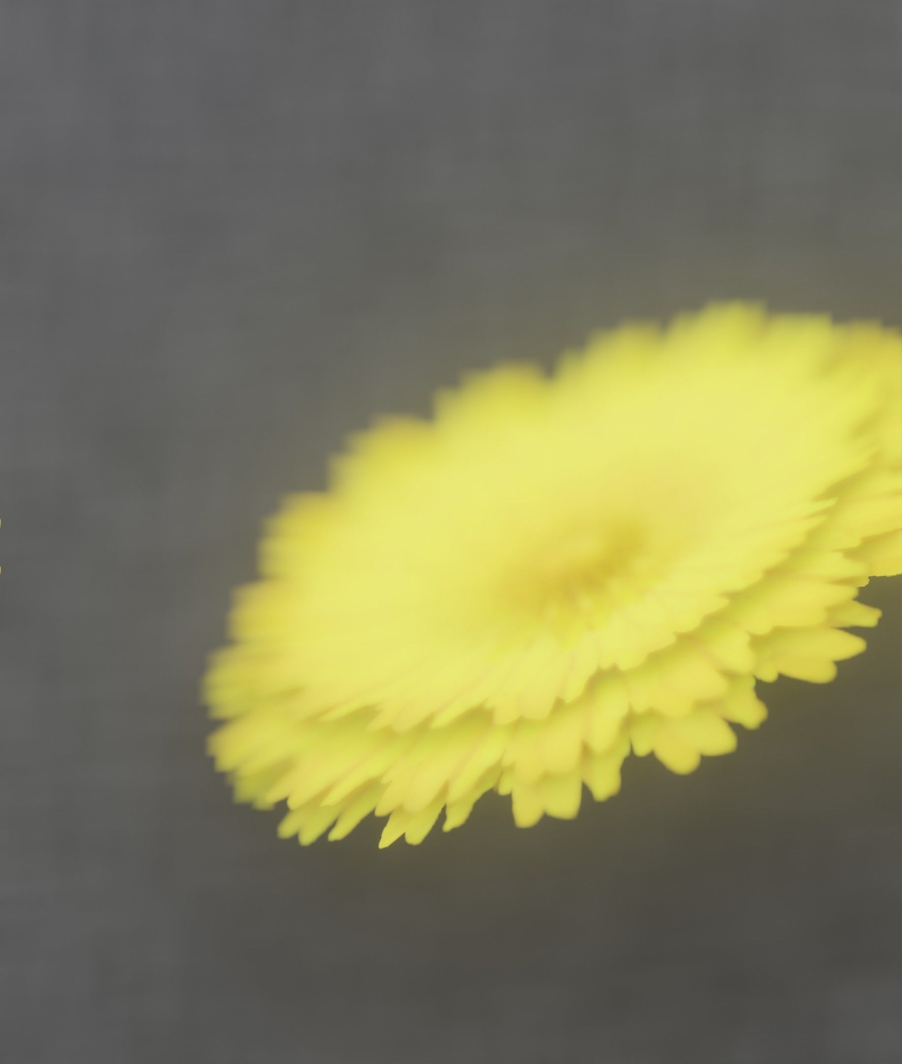 Dandelion Flower Blossom Version 7 - Object 38 Low-poly 3D model_30