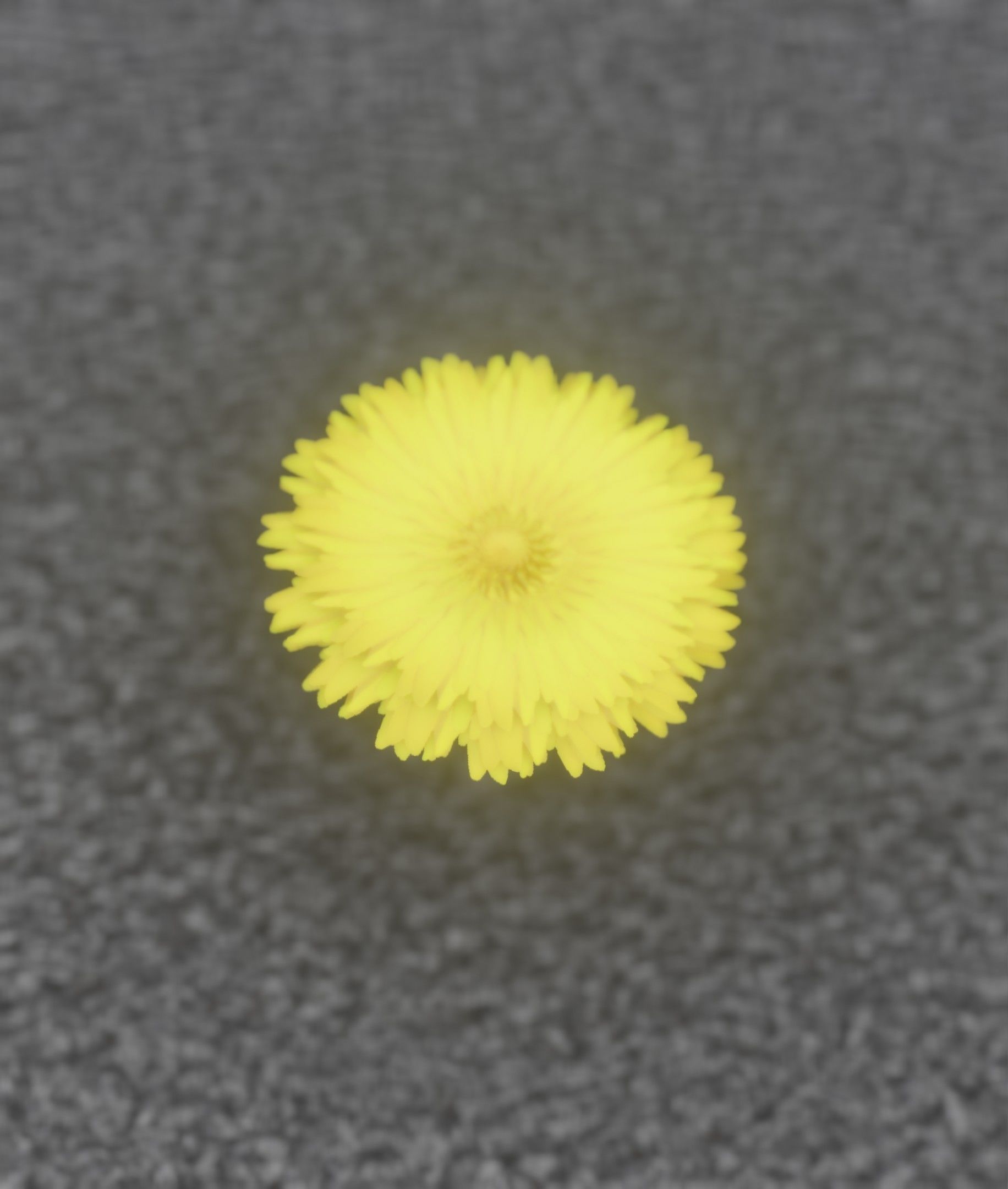 Dandelion Flower Blossom Version 7 - Object 38 Low-poly 3D model_16